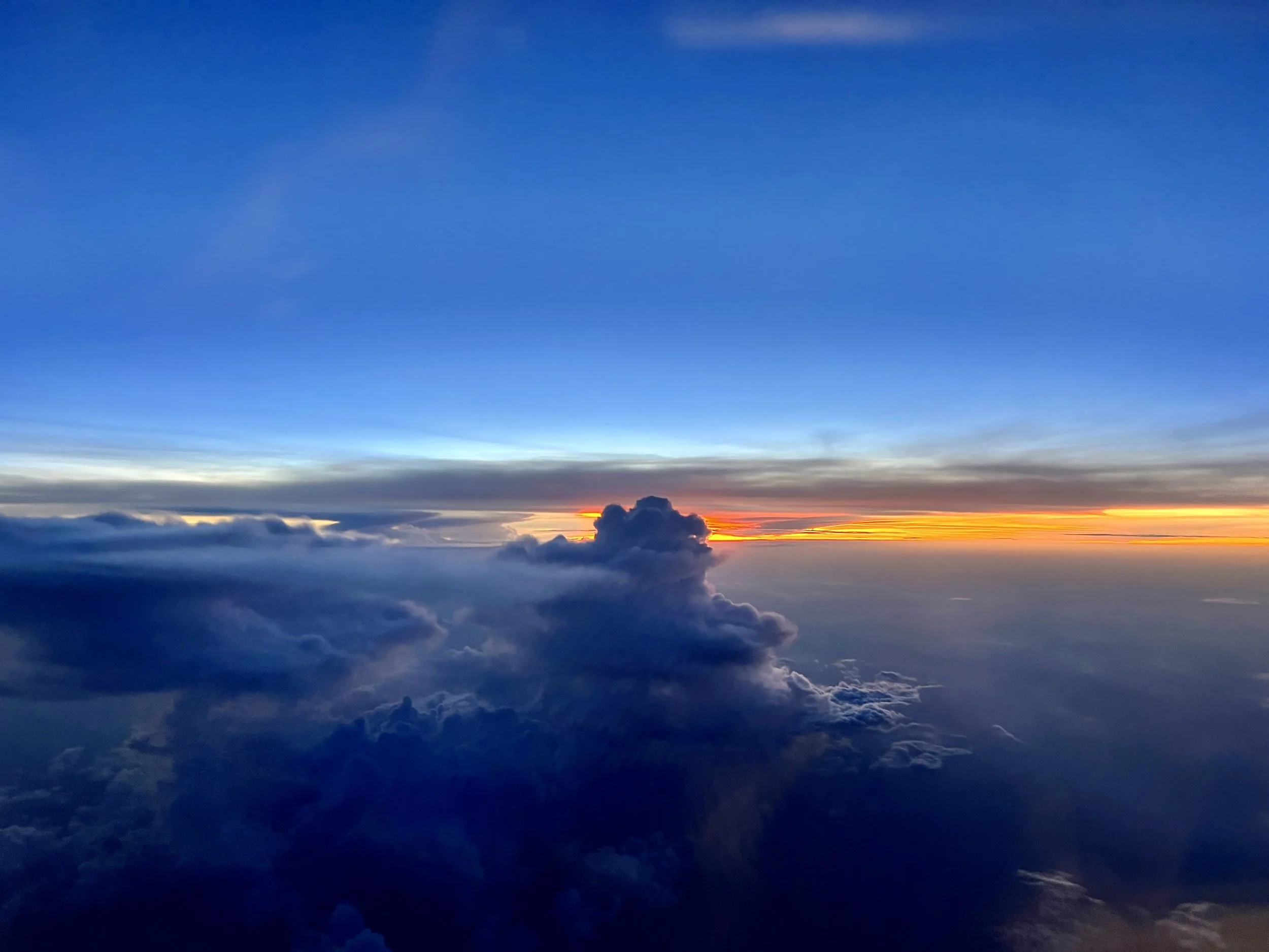 On the Serengeti - December 1, 2022