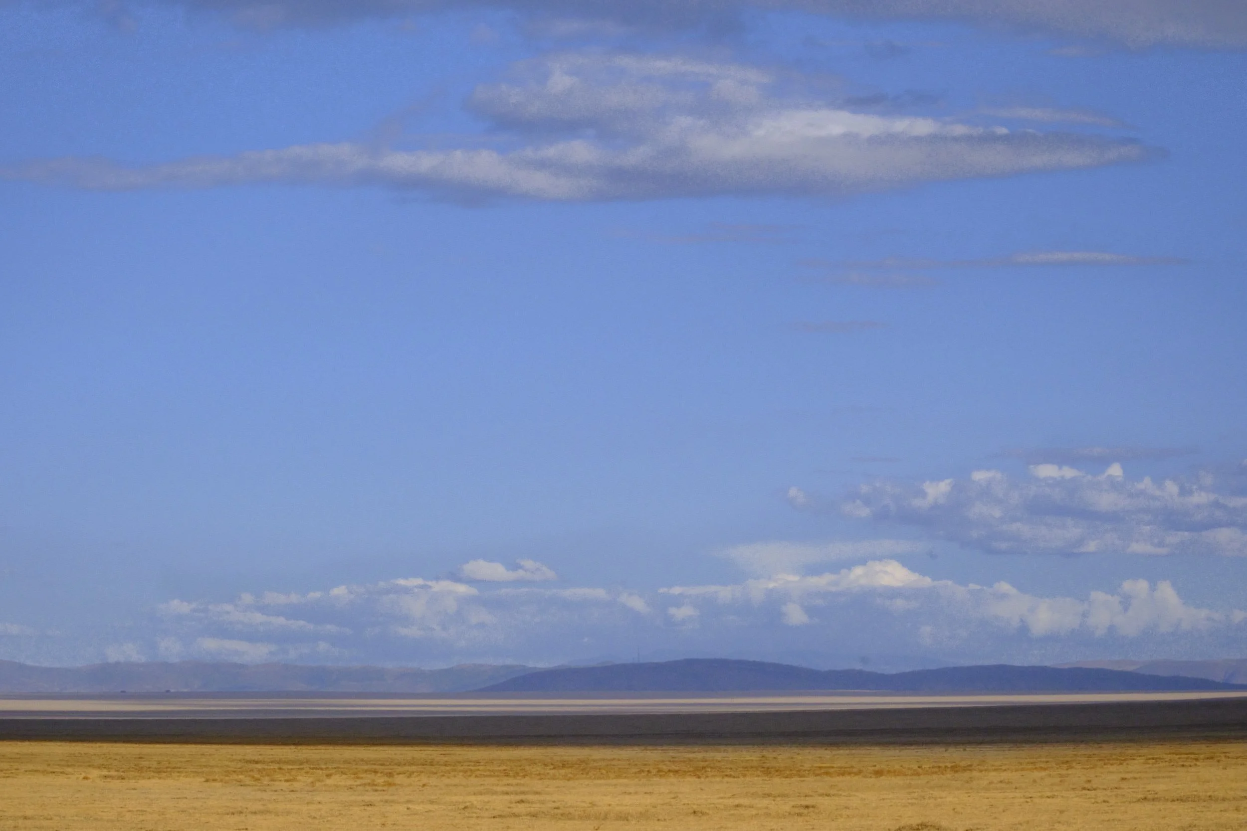 On the Serengeti - December 5 - A day with cats