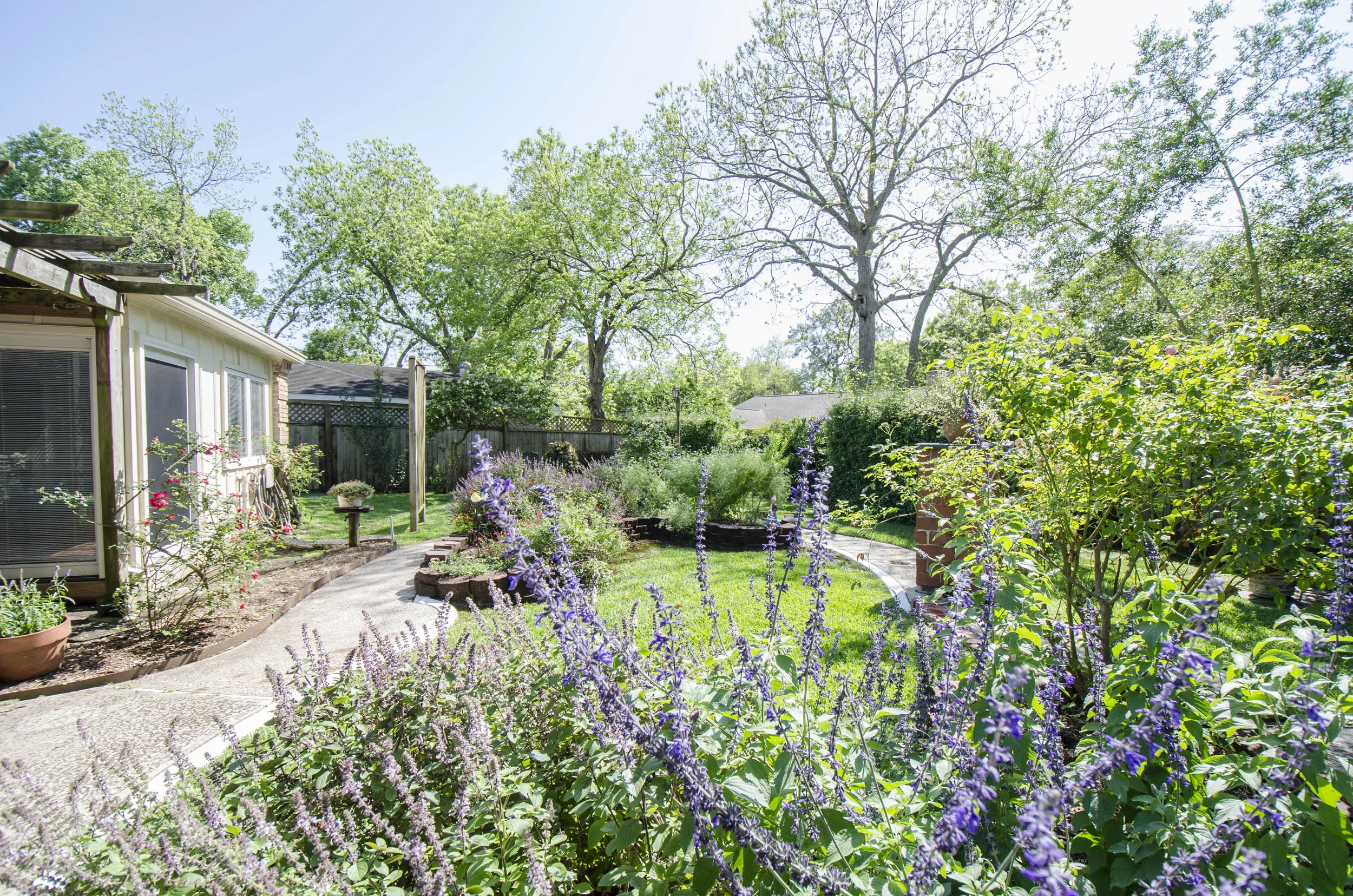 Back Exterior 10.jpg