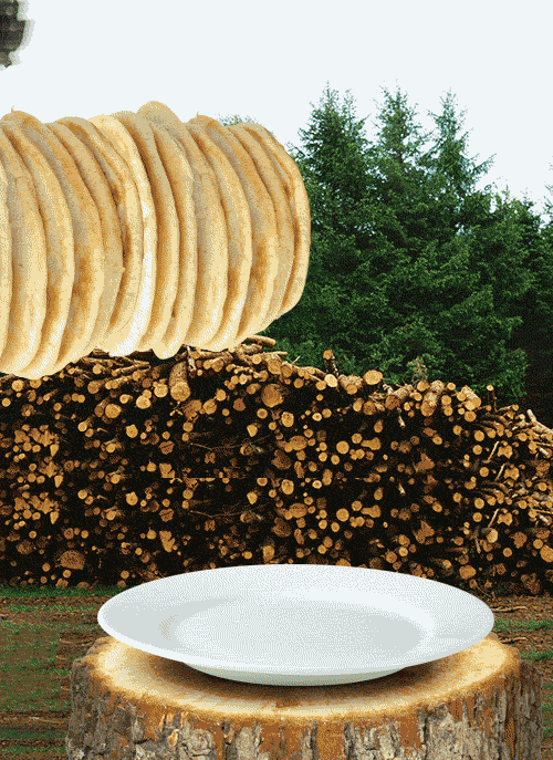 tumblr_mv38d48Bh61s46p8ao1_500.gif