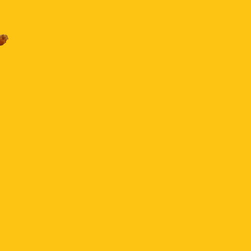 tumblr_n3bh90QsfH1s46p8ao1_500.gif