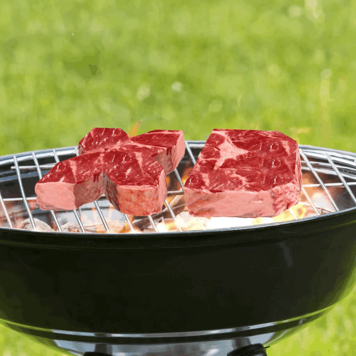 xd_grilln.gif