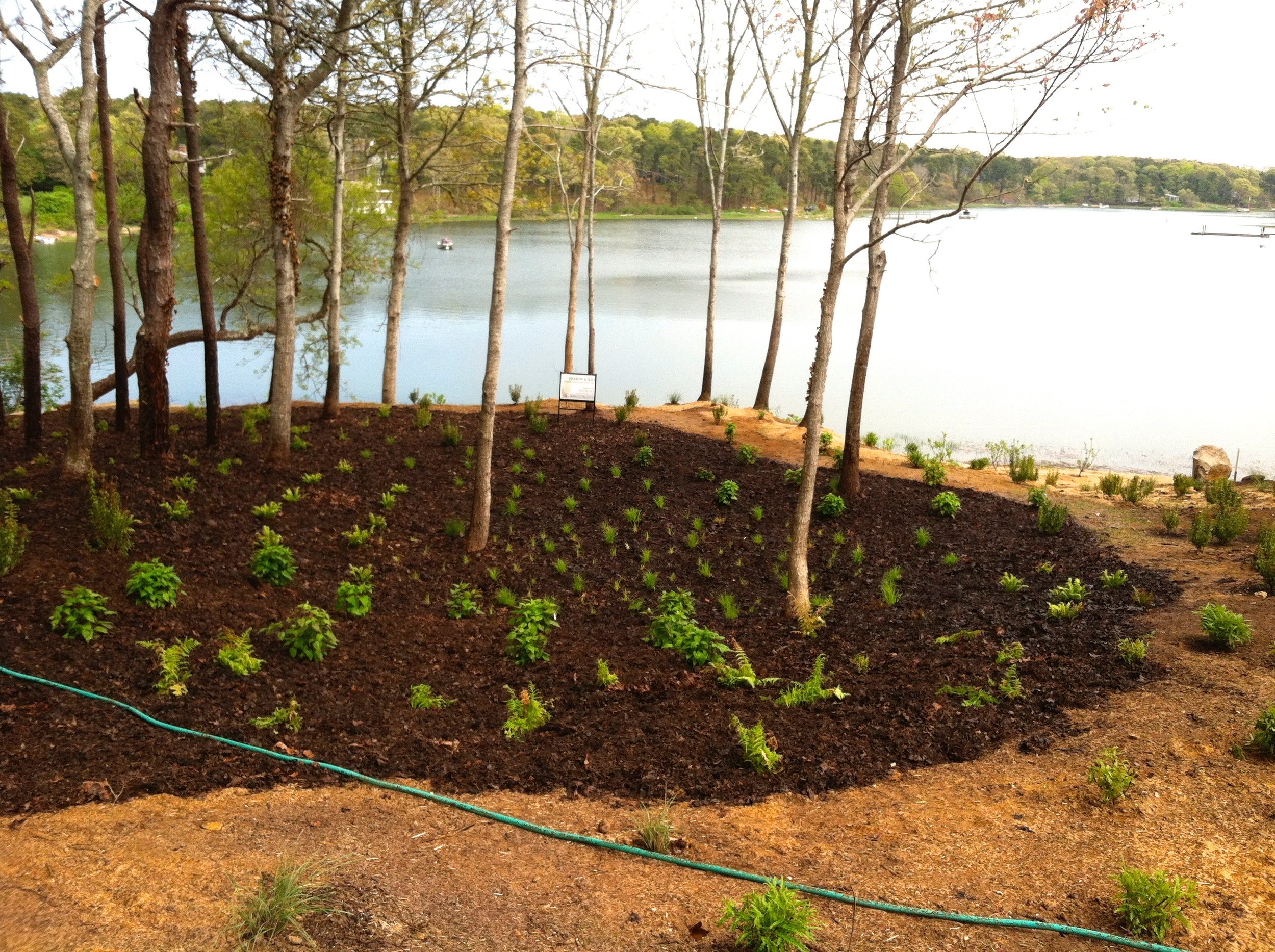 Namequoit Riverfront Restoration I