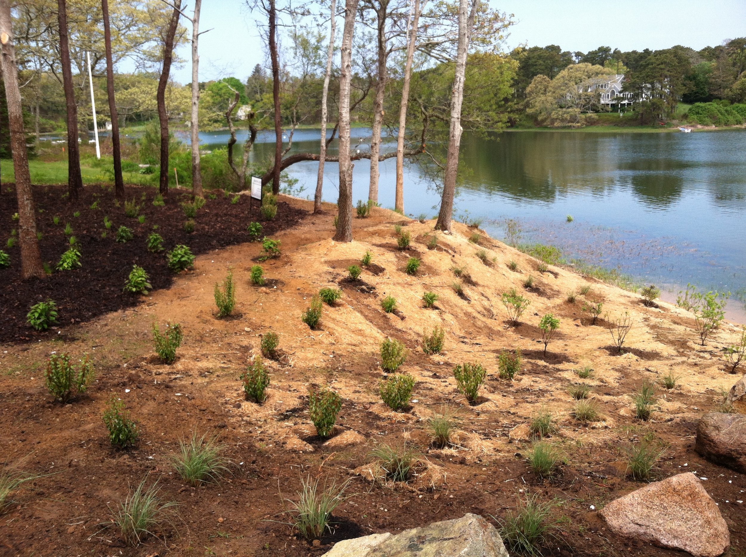 Namequoit Riverfront Restoration I