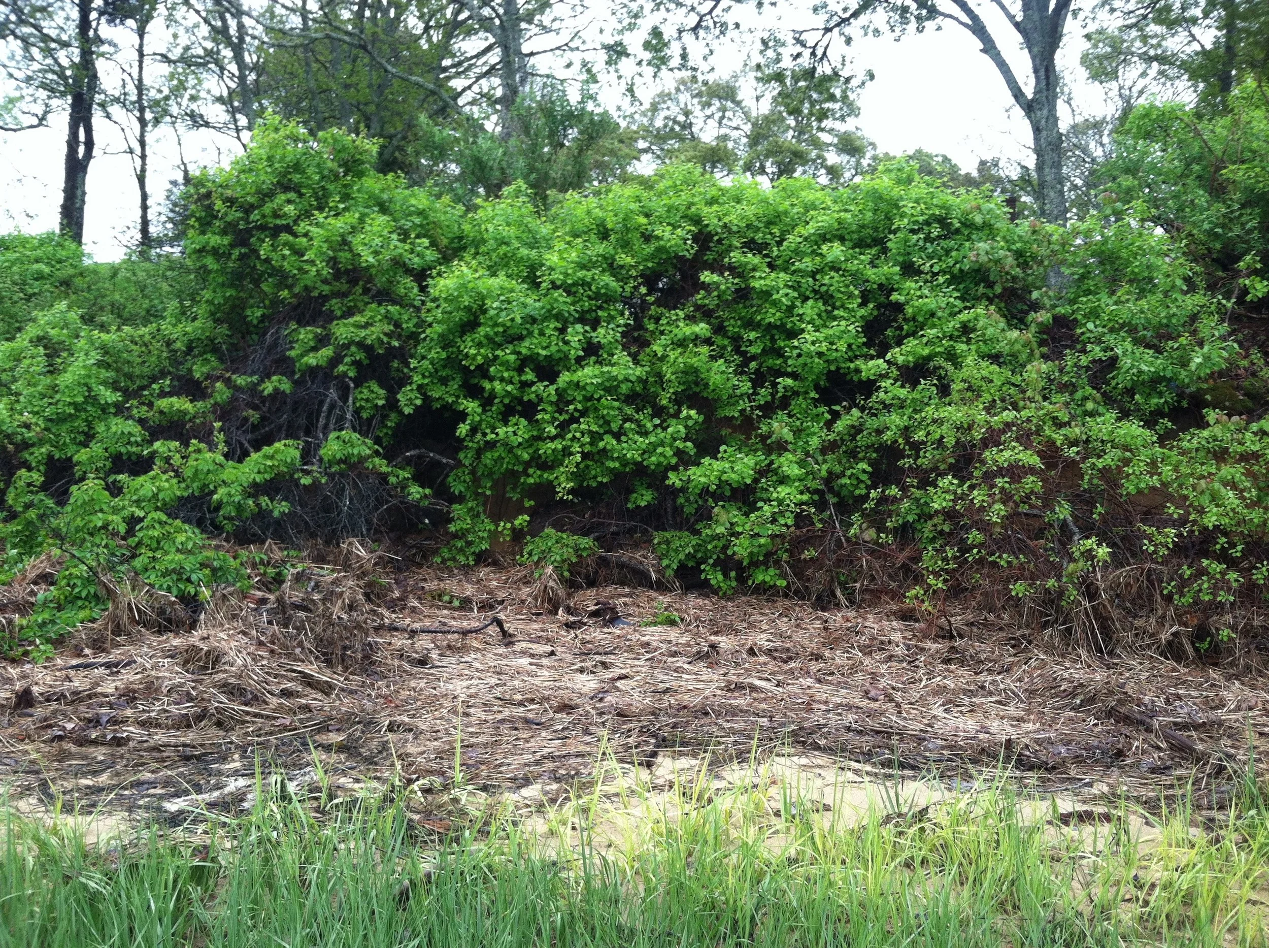 NAMEQUOIT RIVERFRONT RESTORATION II