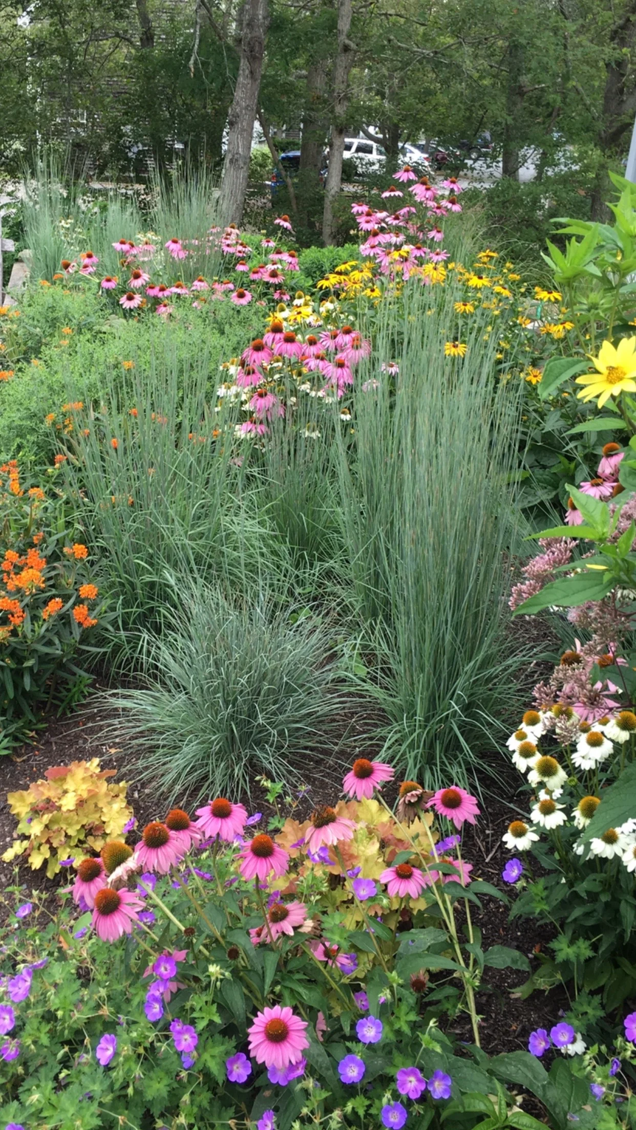 ECOLOGICAL GARDENS