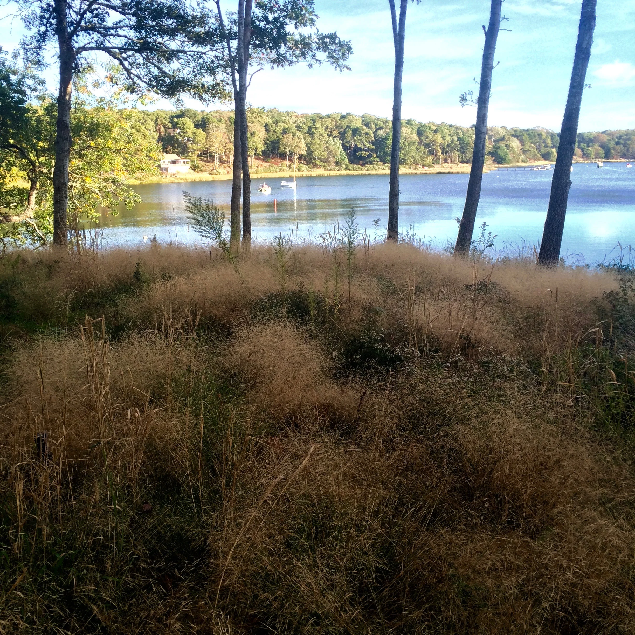 NAMEQUOIT RIVERFRONT RESTORATION
