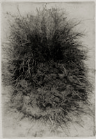 american desert I-23, 1992 (1994)