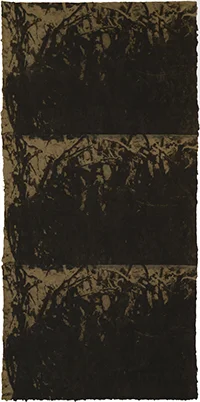 Untitled 99-21, 1999 (2018)