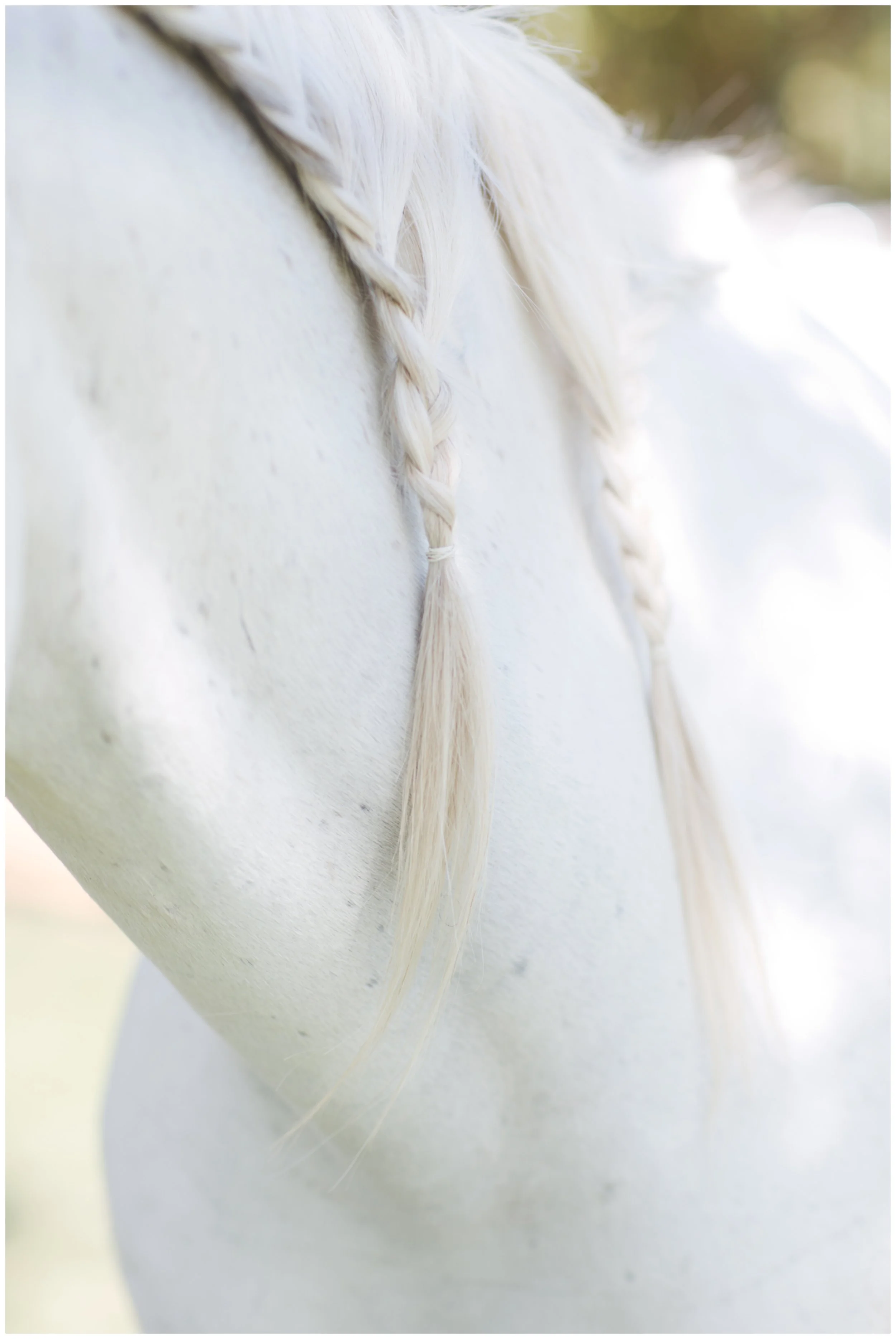 Ilze&Andre088.jpg