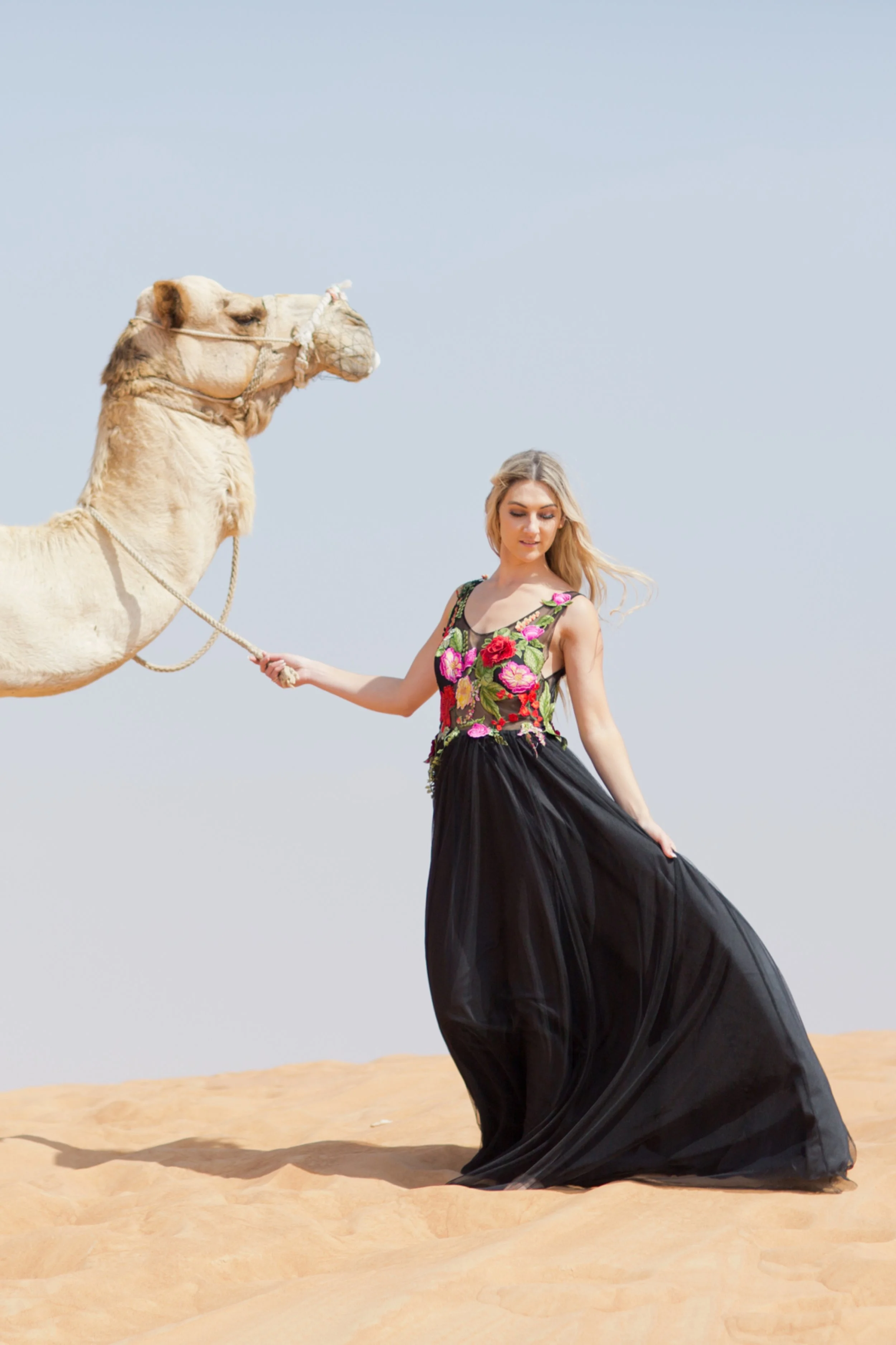 NomadDessertSS139.jpg