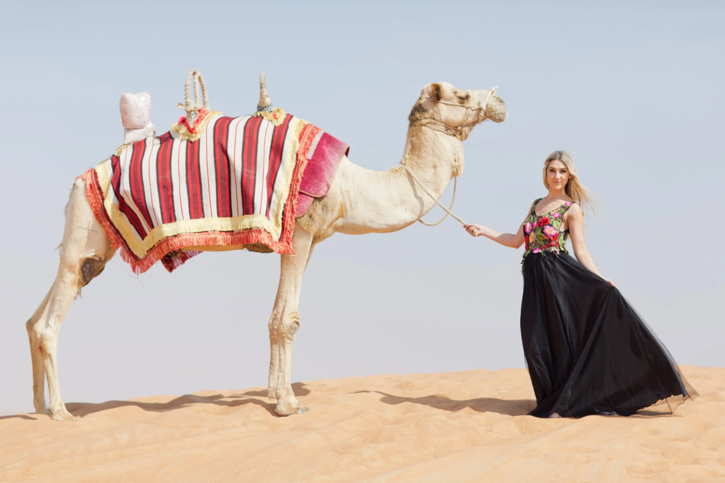 NomadDessertSS142.jpg