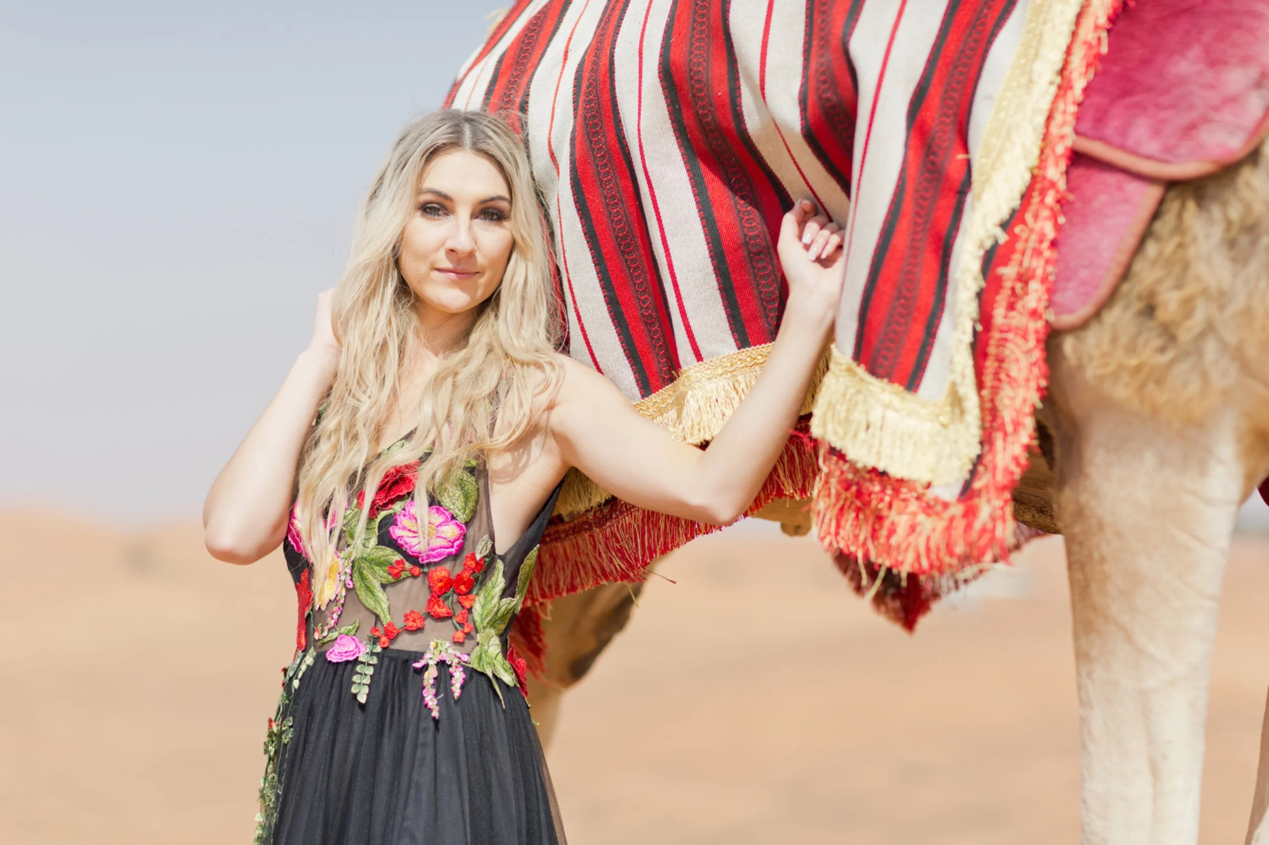 NomadDessertSS149.jpg