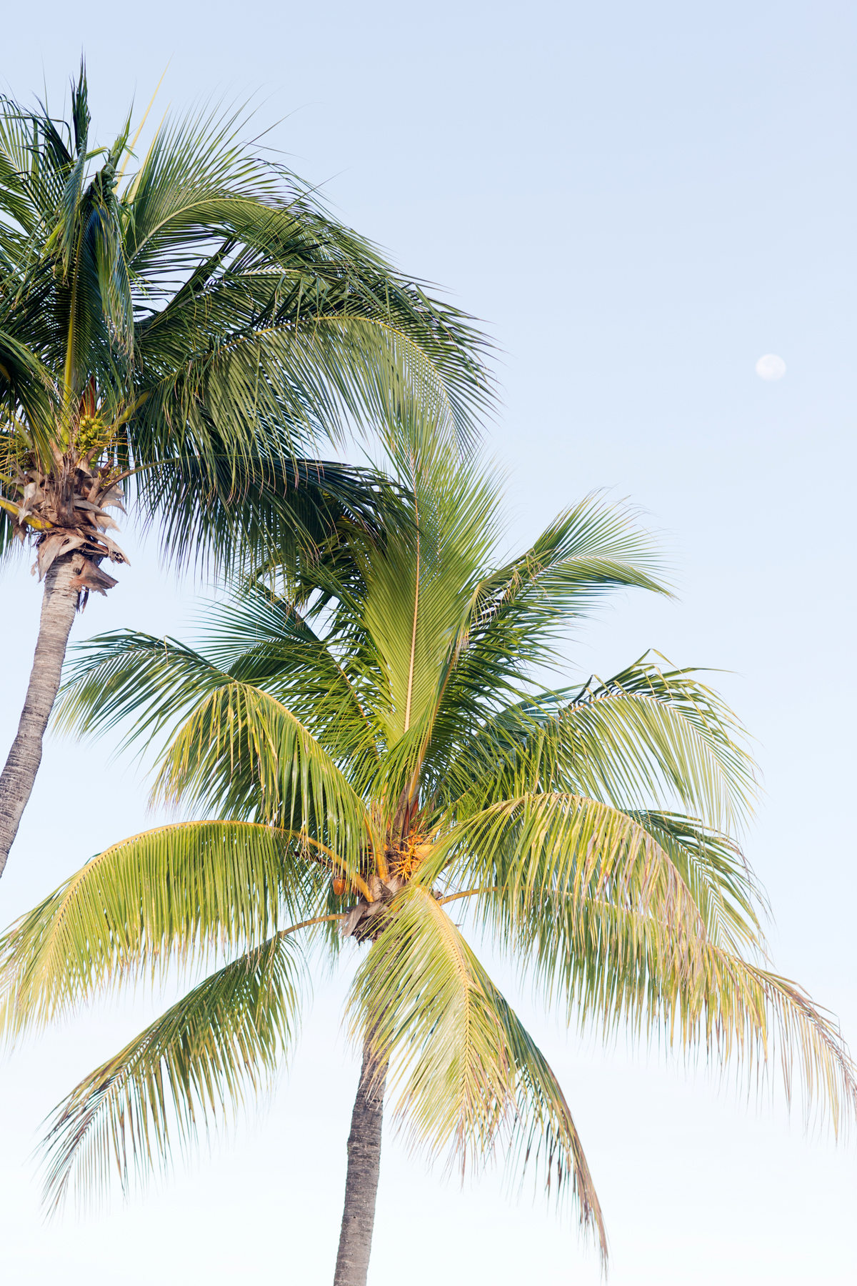 Resort039.jpg