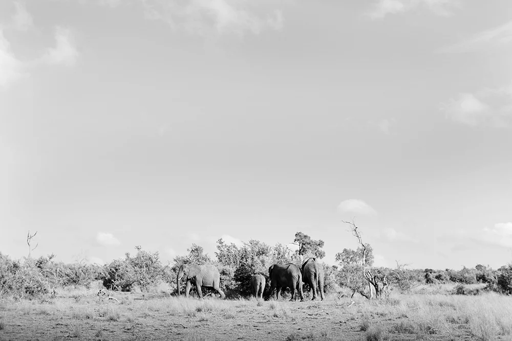 KS6A7943b.jpg