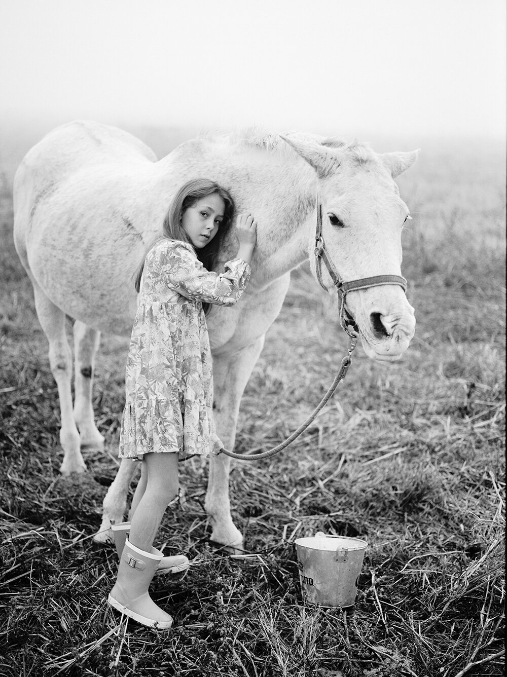 Kids and Horse on the Farm