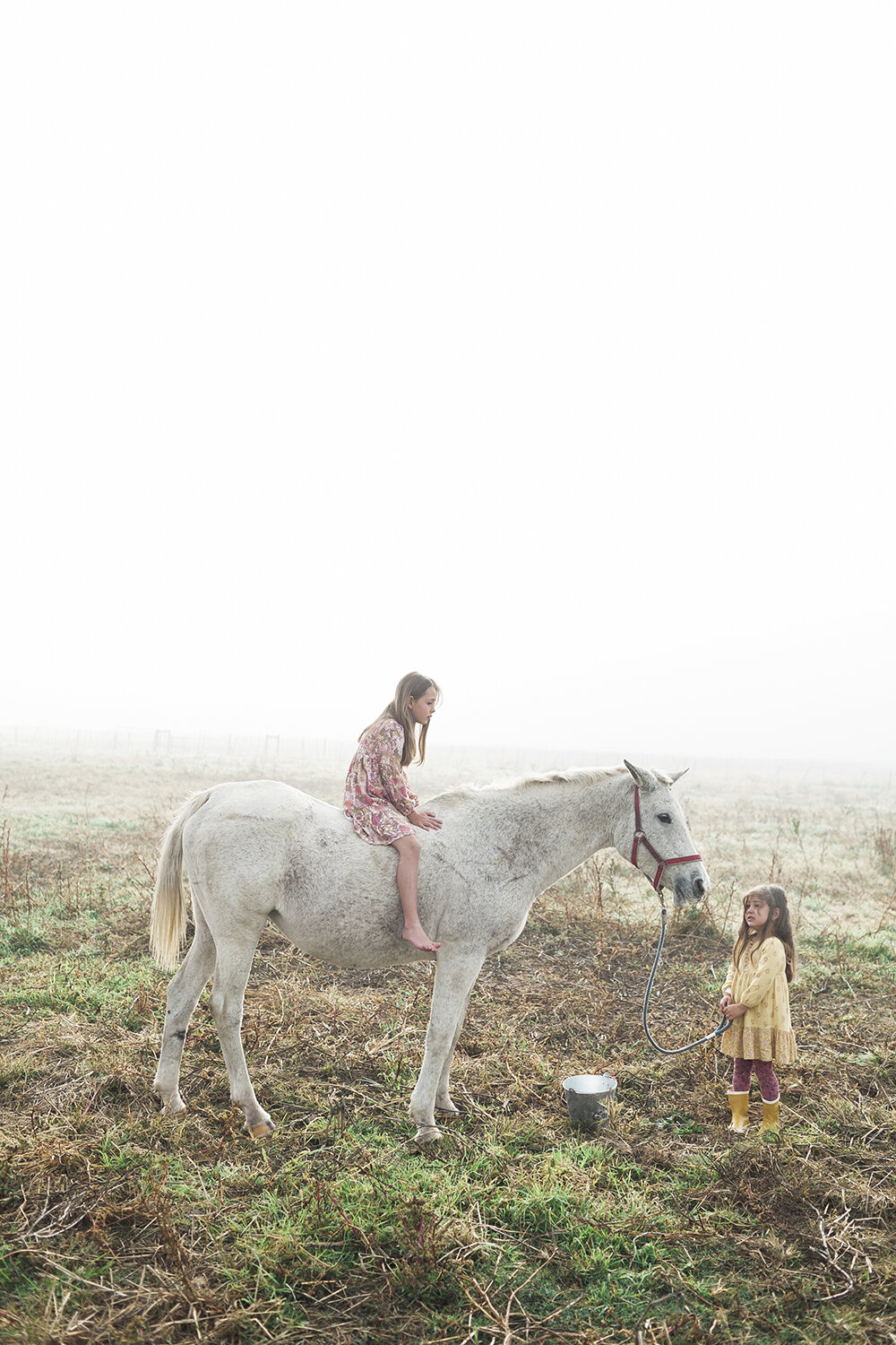 Kids and Horse on the Farm