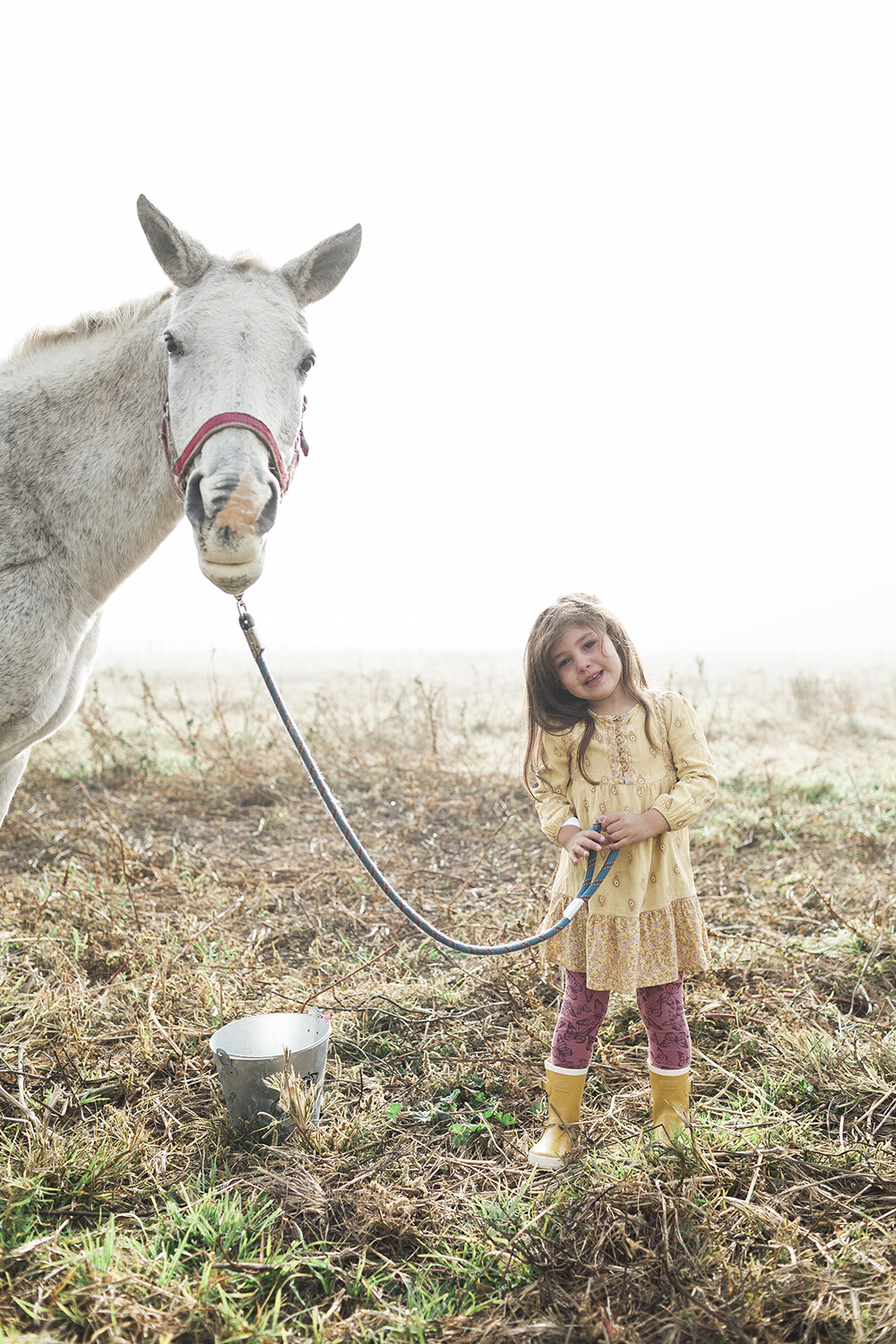 Kids and Horse on the Farm