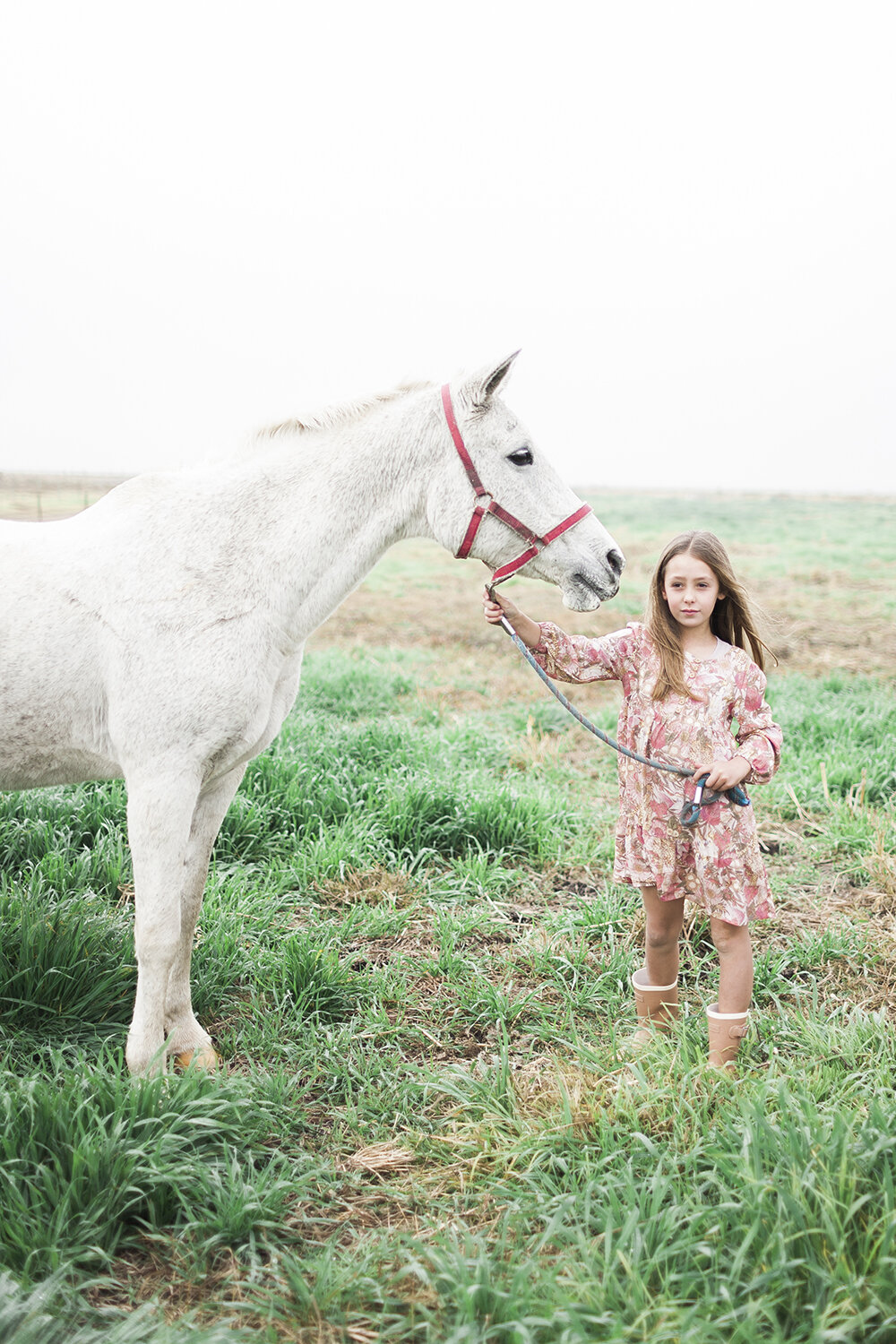 Kids and Horse on the Farm