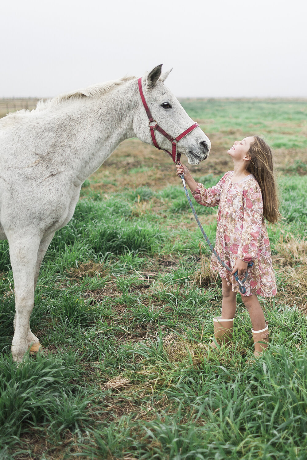 Kids and Horse on the Farm