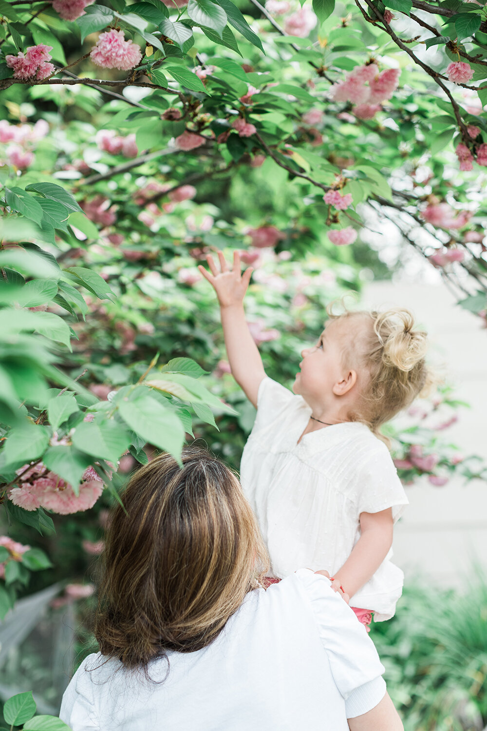  Family Shoot