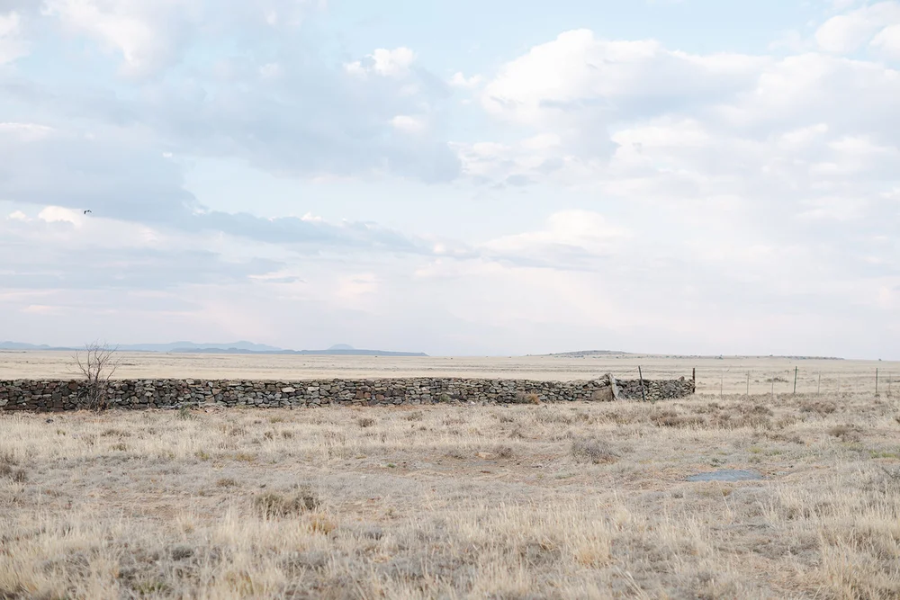 Karoo Ranching