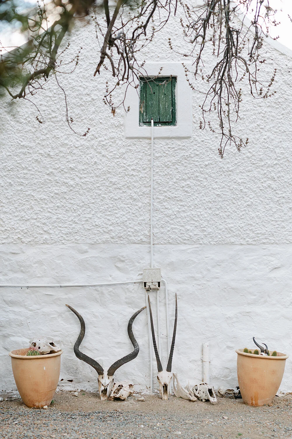 Karoo Ranching