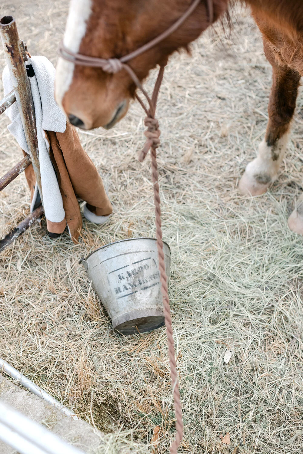 Karoo Ranching