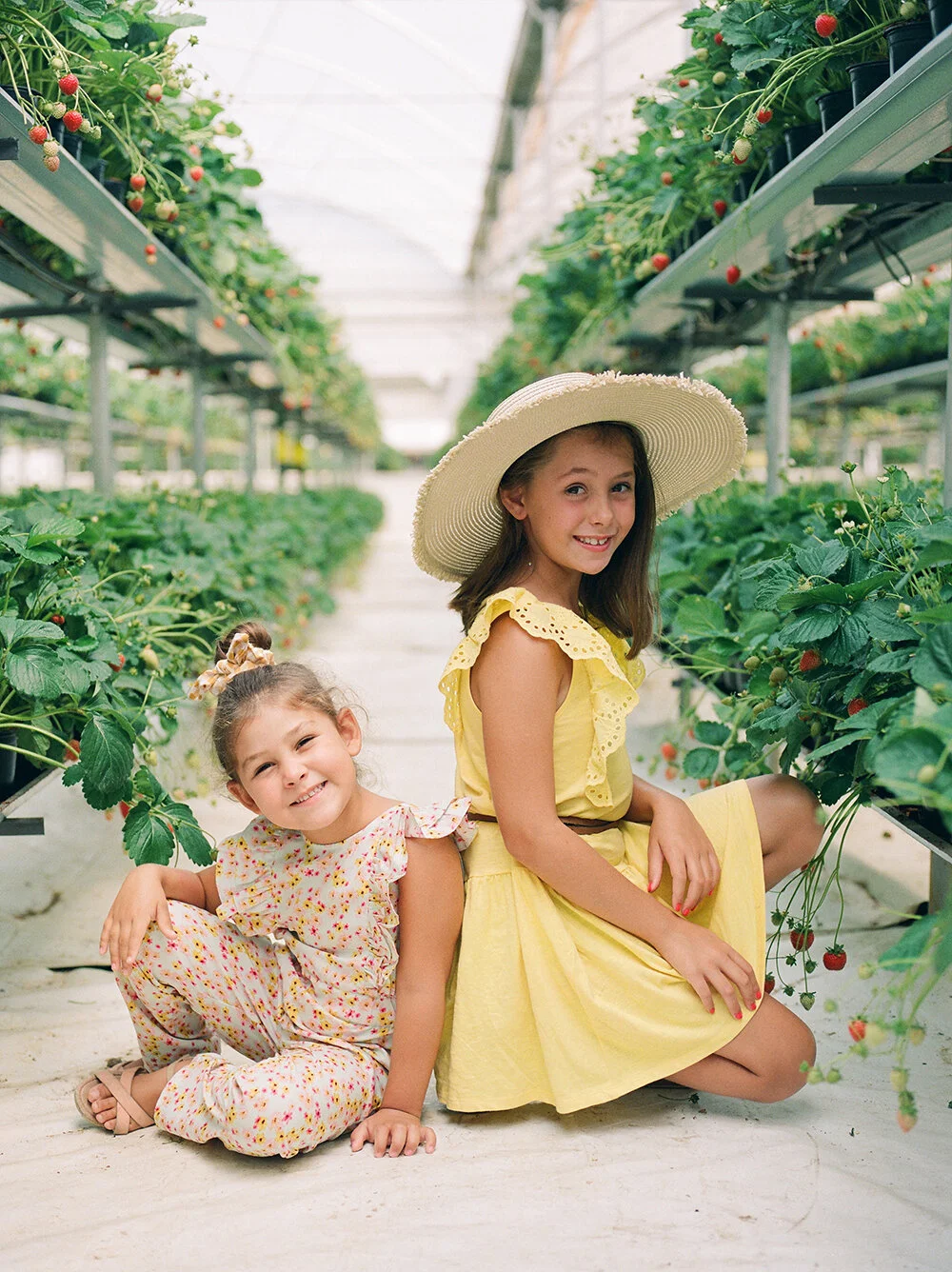 Strawaberry Farm Photos