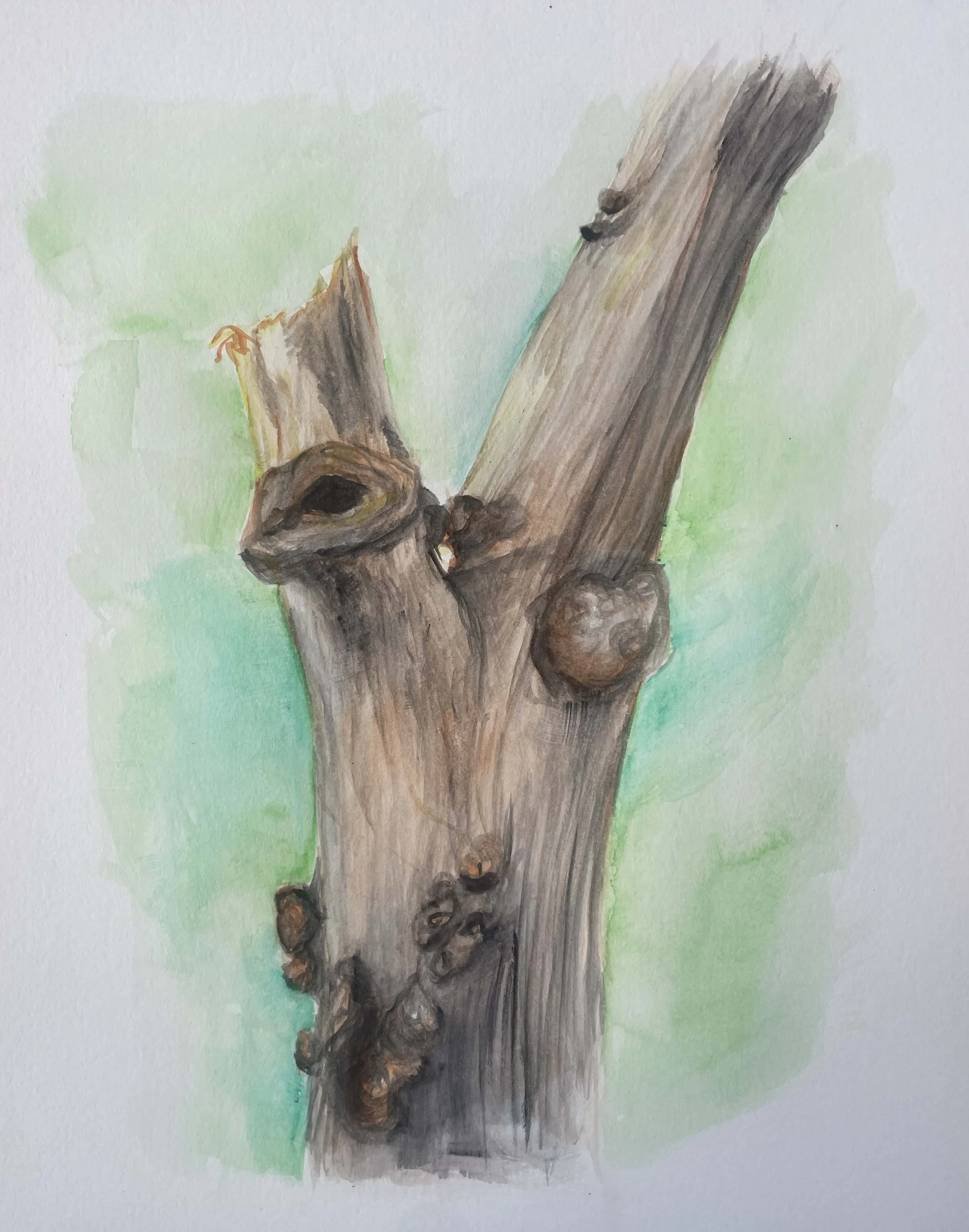 The Tree That Fell On My Brother, 2025