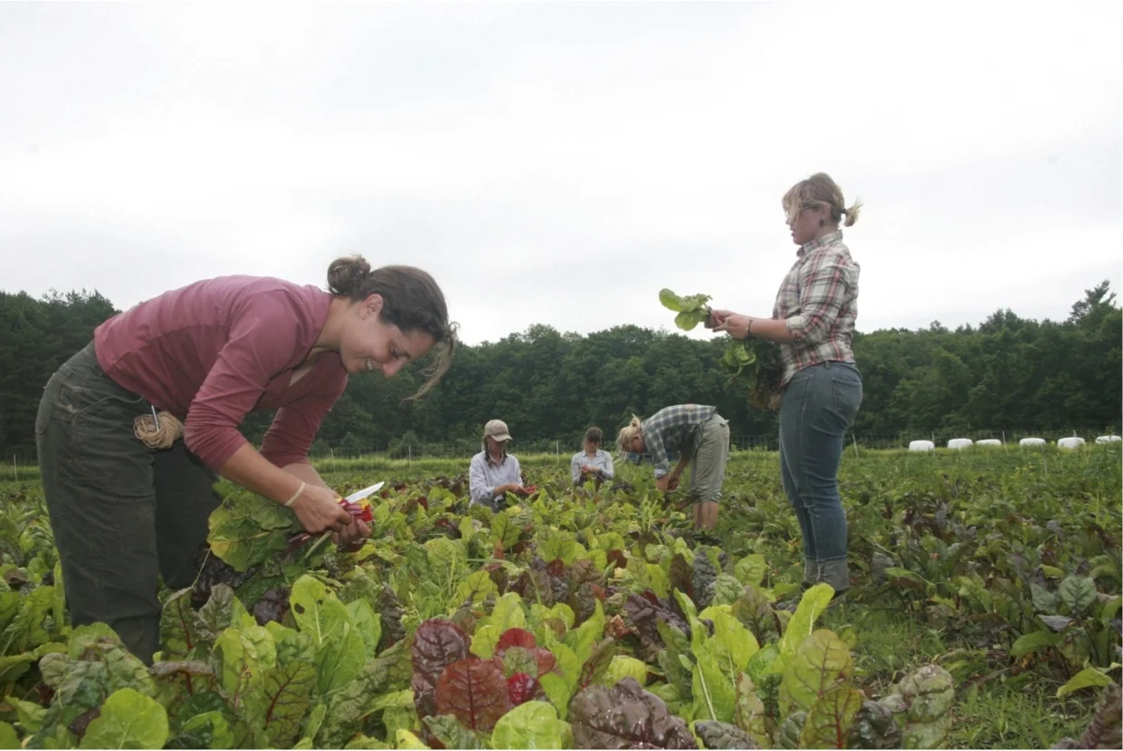 Red Thread for Growing the Next Generation of Biodynamic Farmers