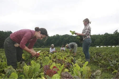 Agriculture 3.0