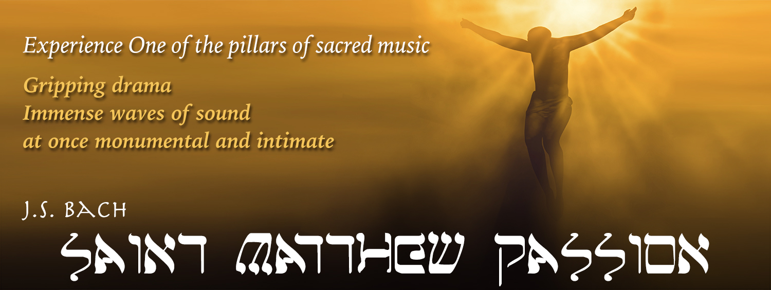 Saint Matthew Passion Soloist