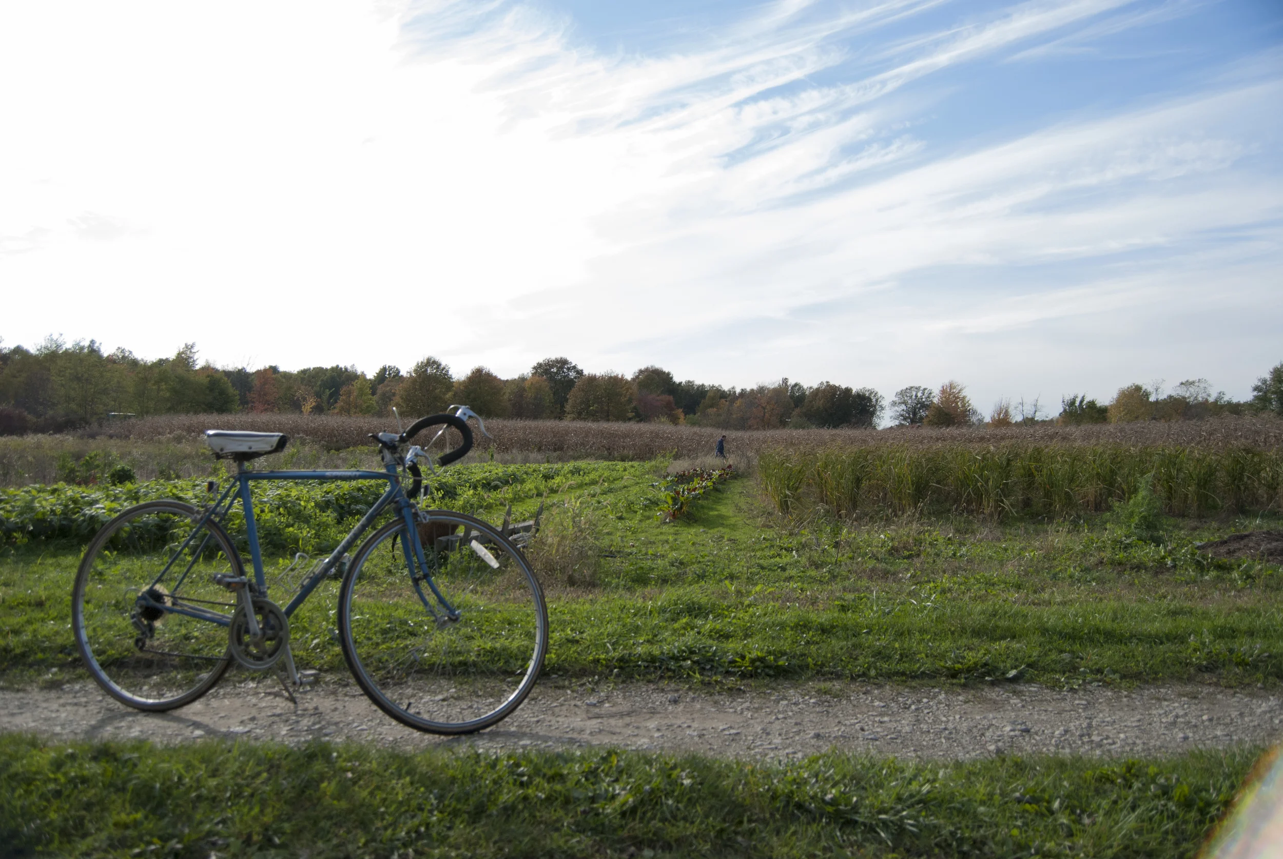  True Yang, part owner of Yang's Farm in Atwater, Ohio, rides his bike down to his 17-acre farm and a half mile back to his home. He, his wife, Song yang, sometimes their children, friends, or family, come help gather the vegetables and grain from Sp
