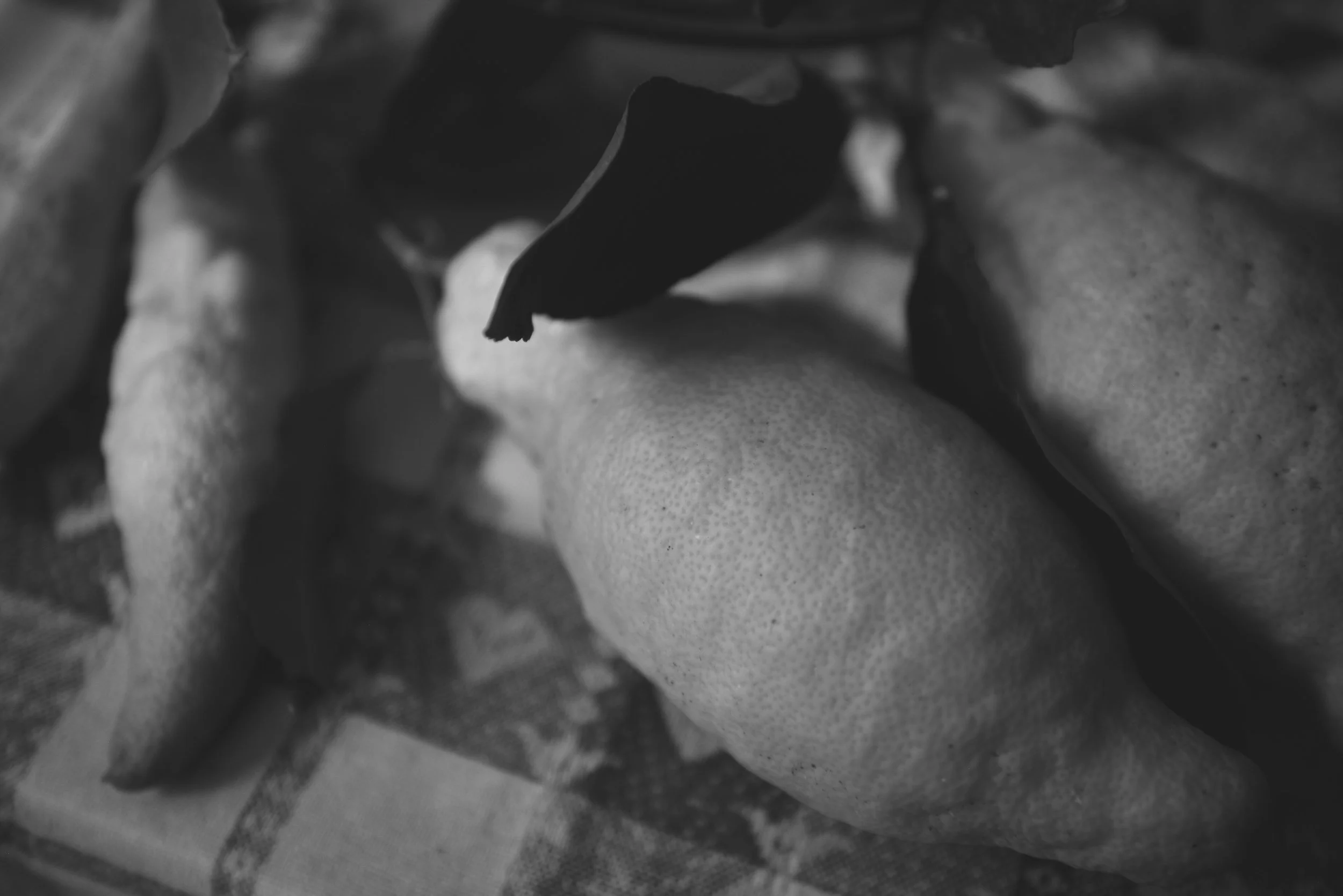 _DSC9115.jpg