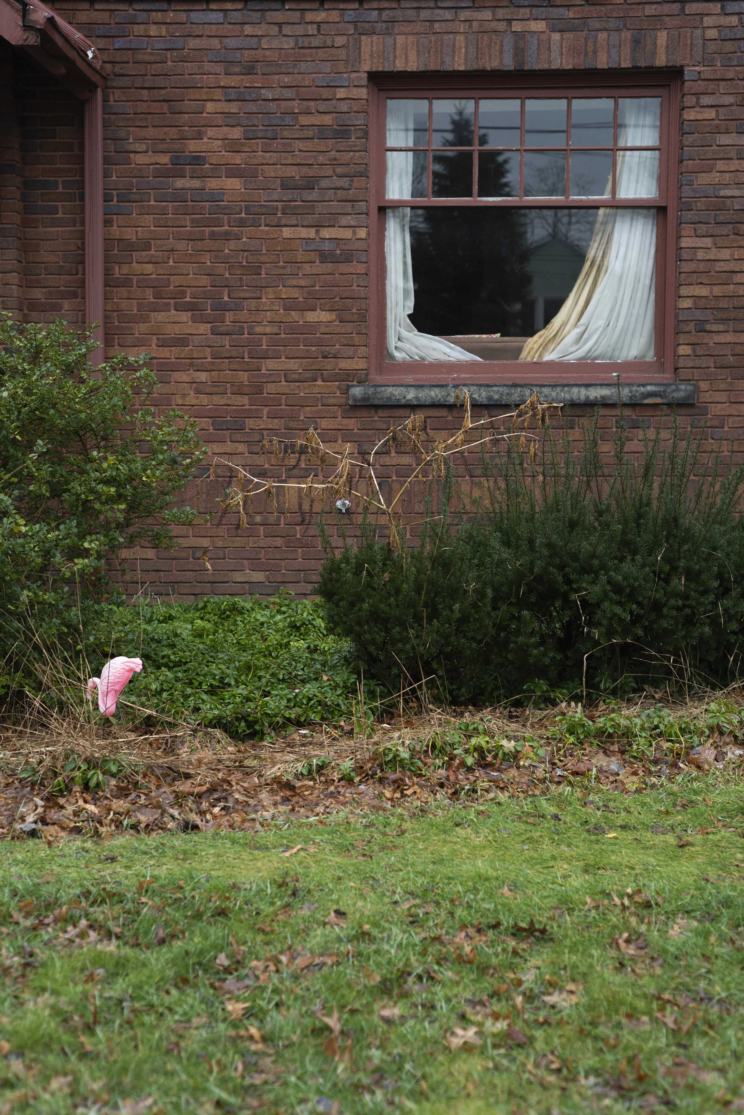 Akron, OH