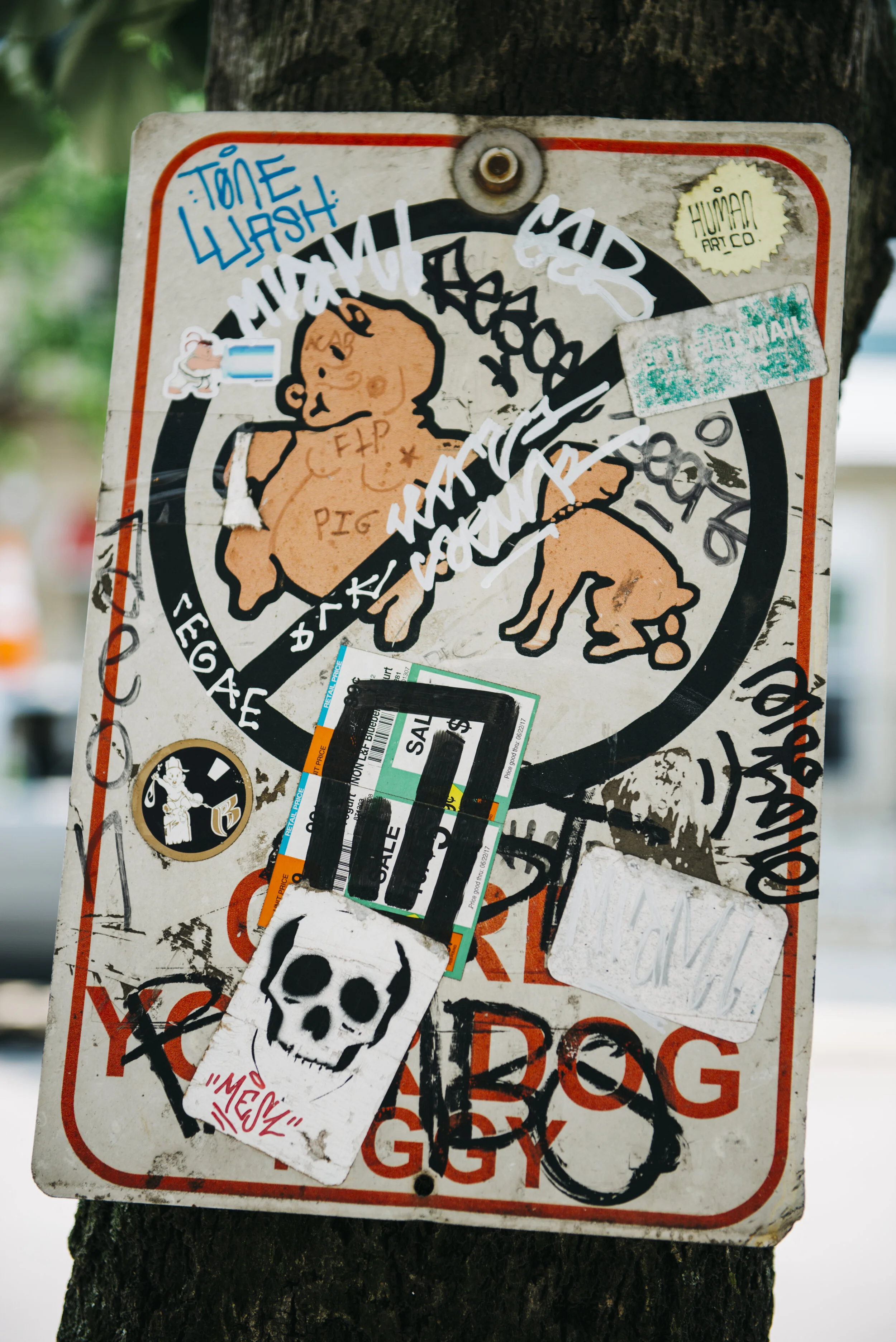 _DSC5622.jpg