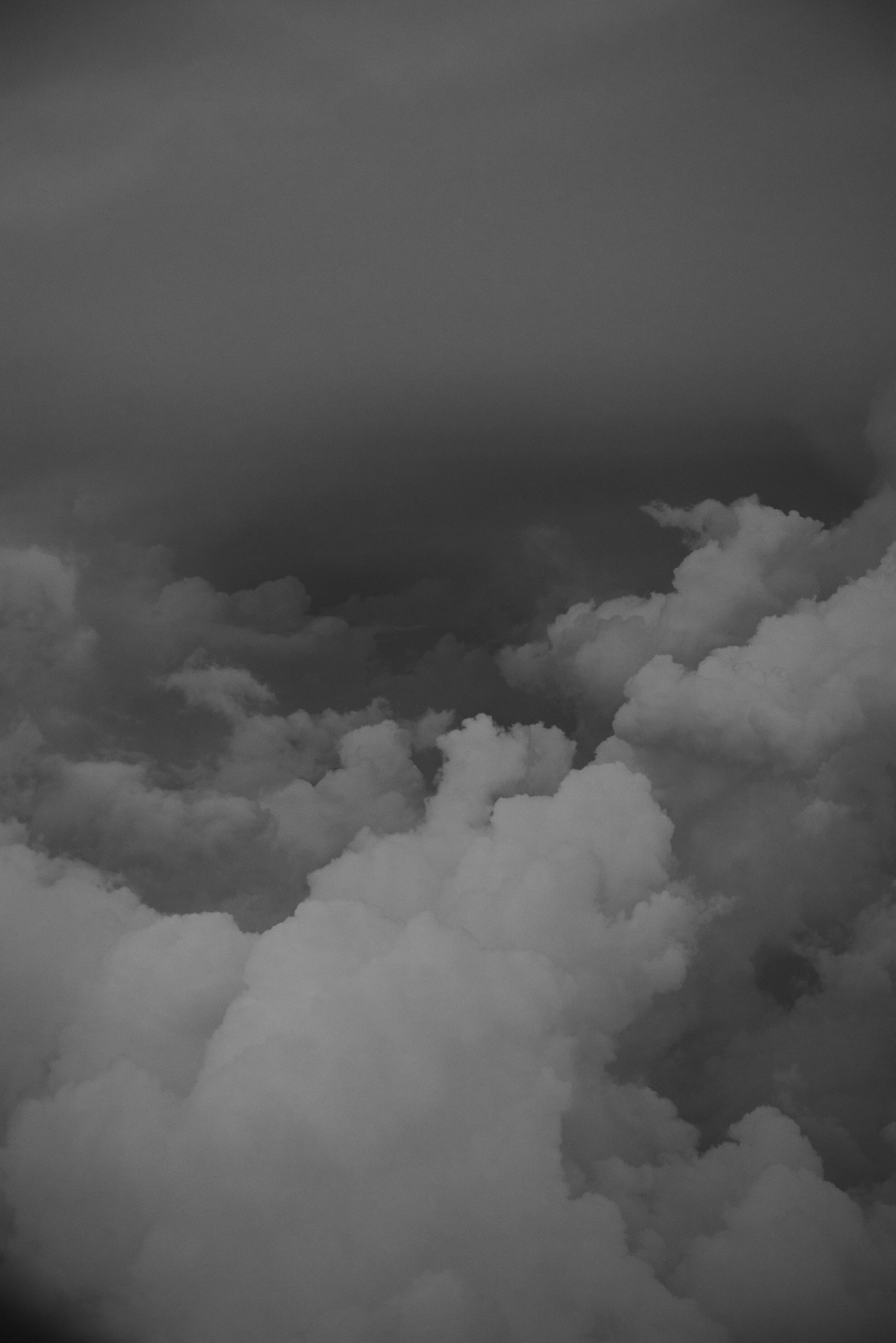 _DSC5836.jpg