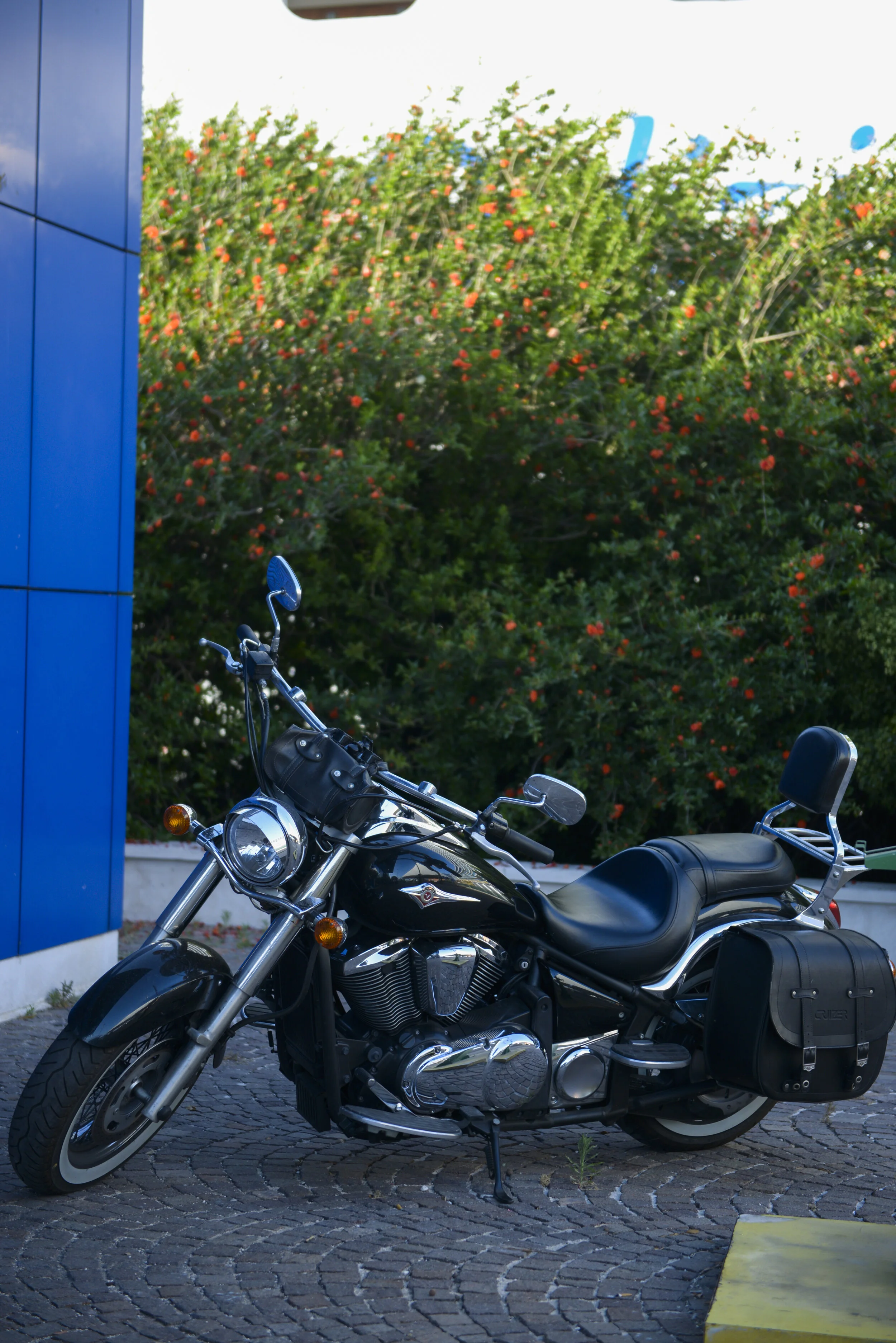 _DSC7395.jpg