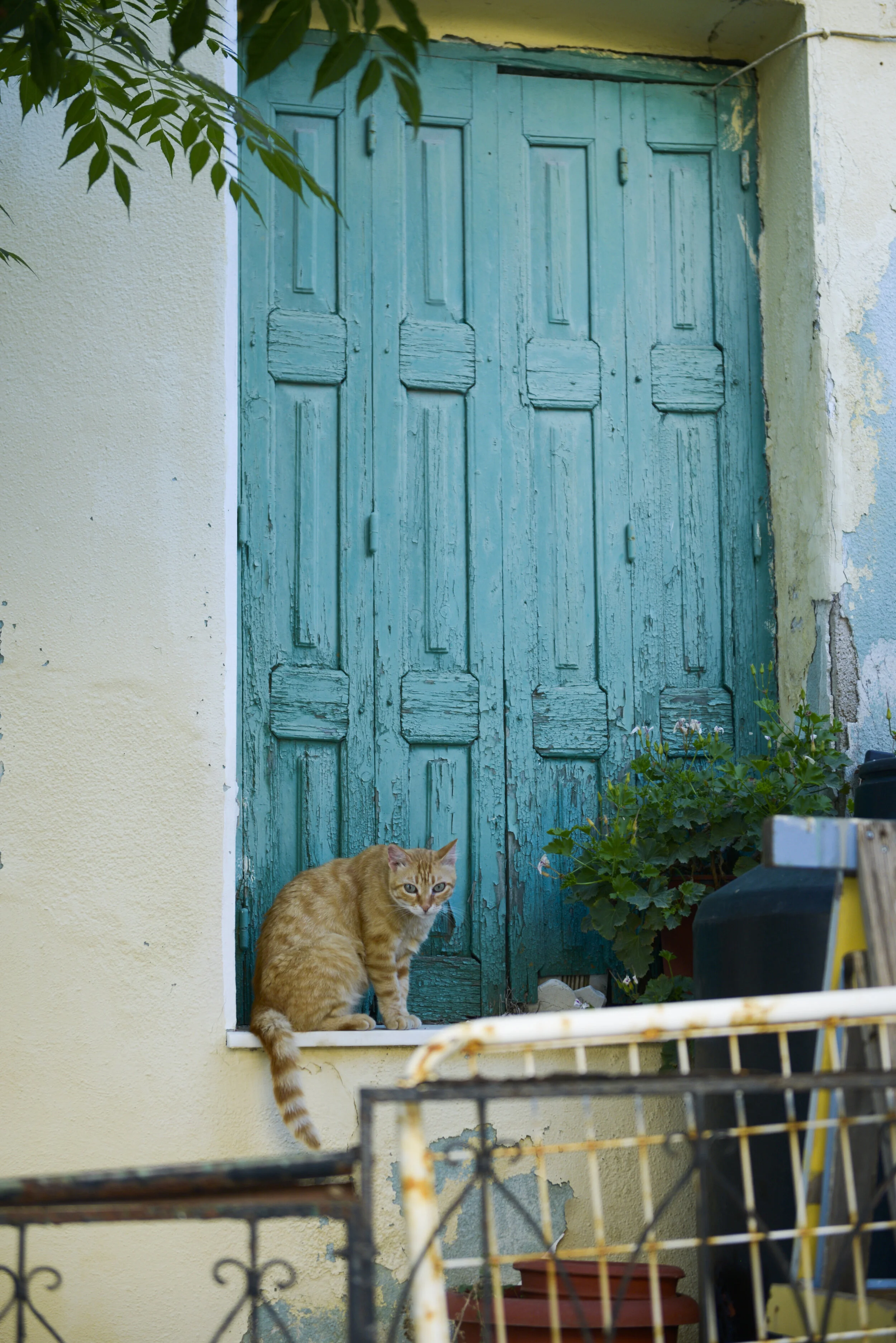_DSC7956.jpg