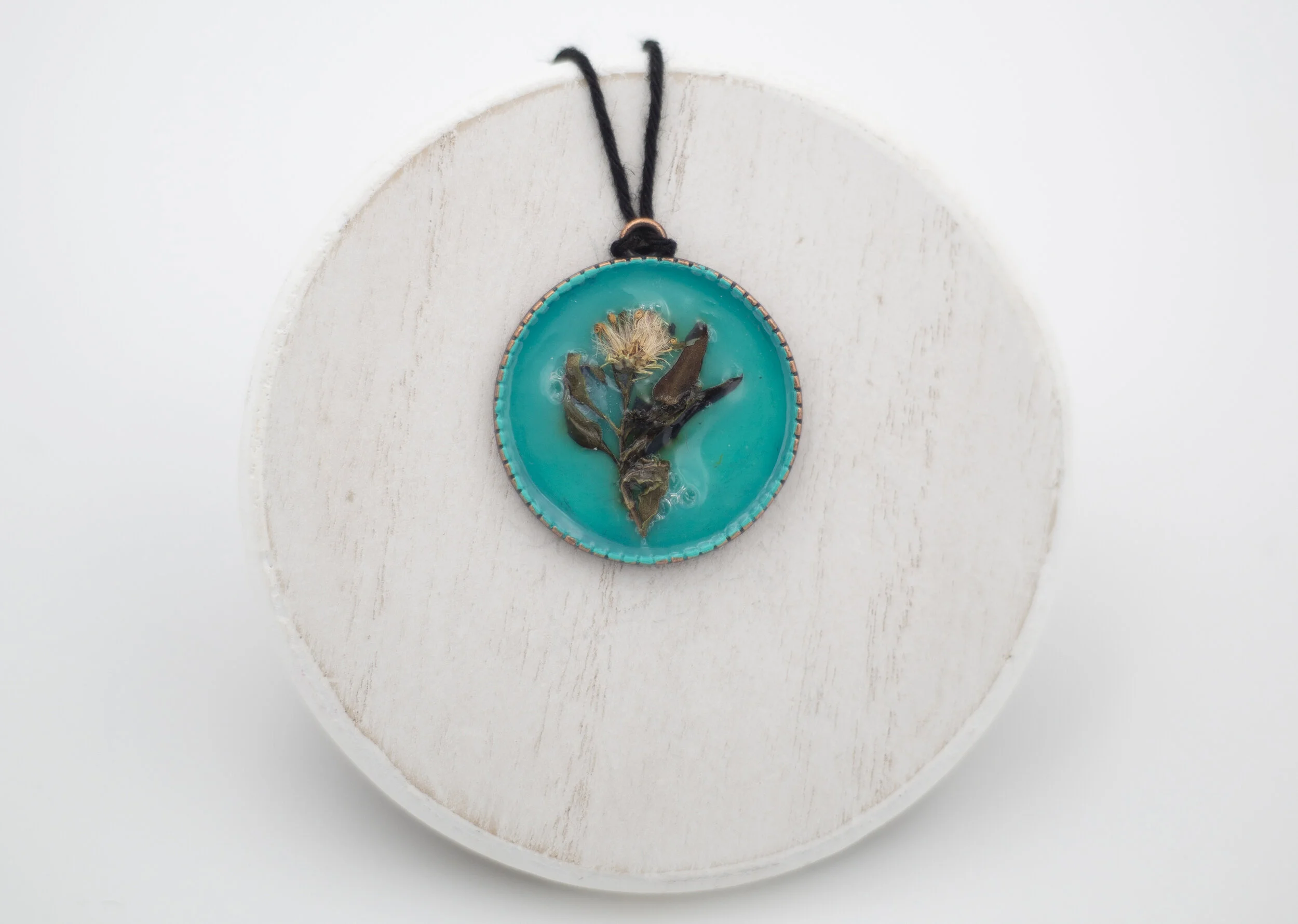 _DSC0146.jpg