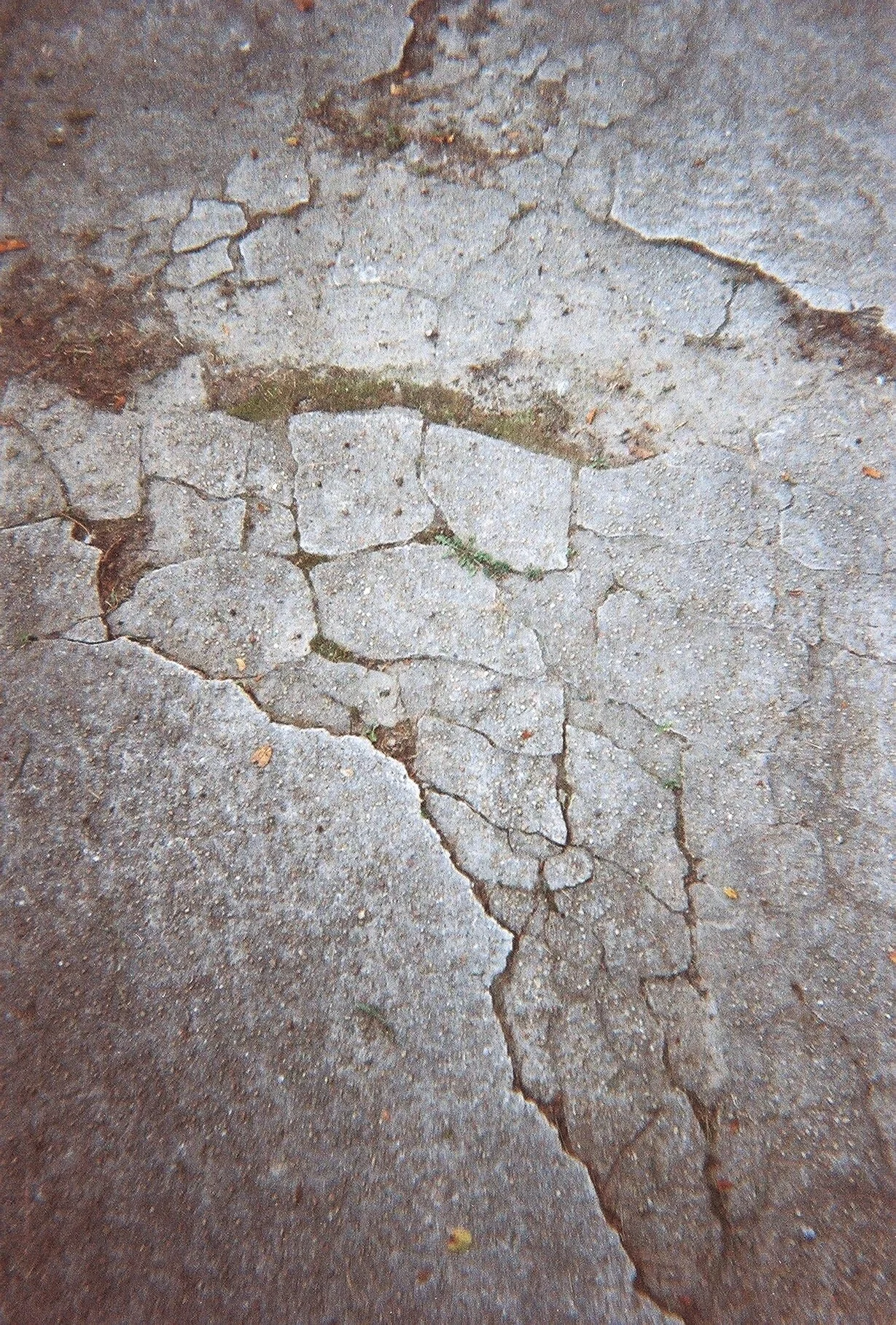 Kodak Disposable 400