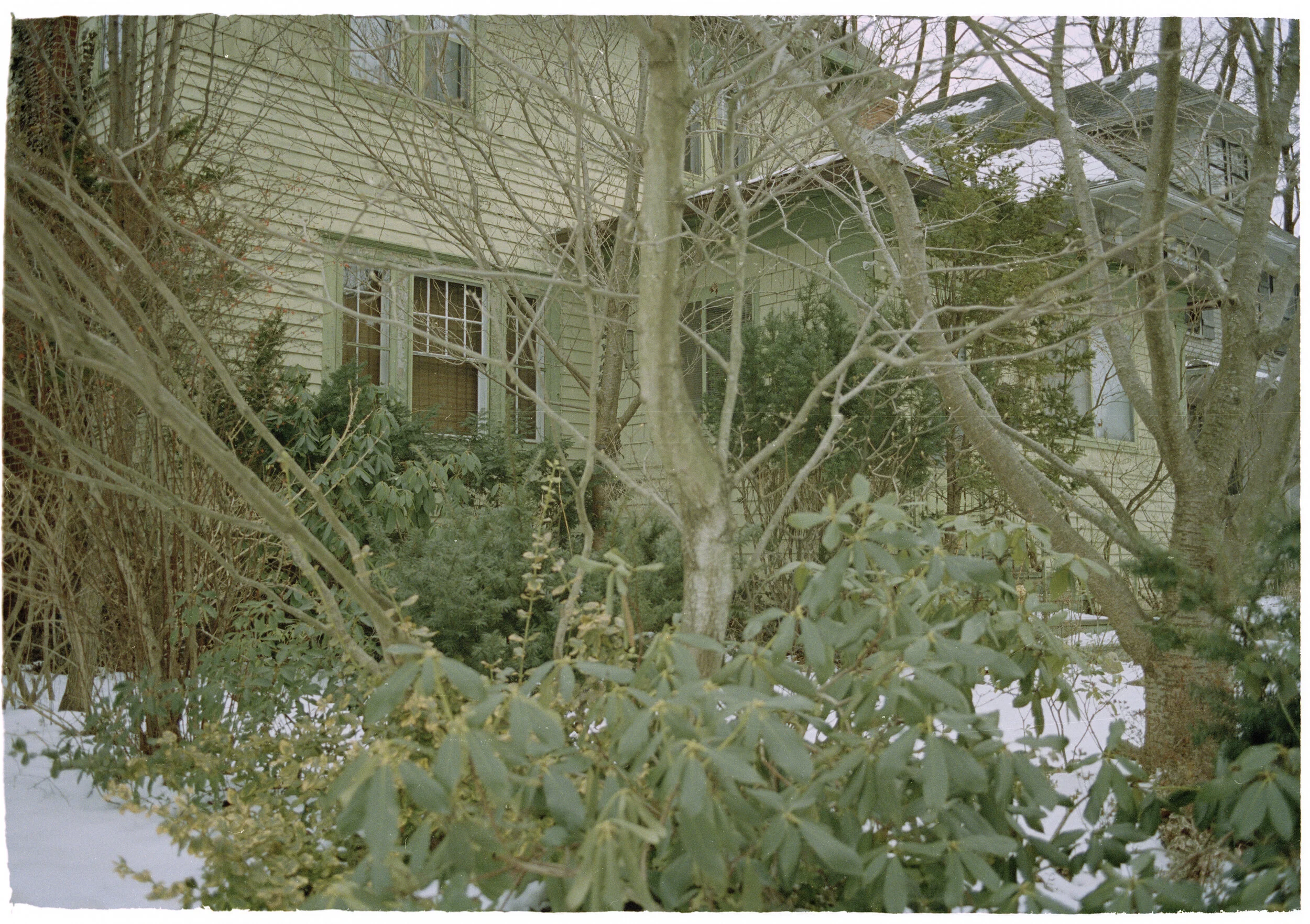 Canon AE-1 // Kodak Portra 400