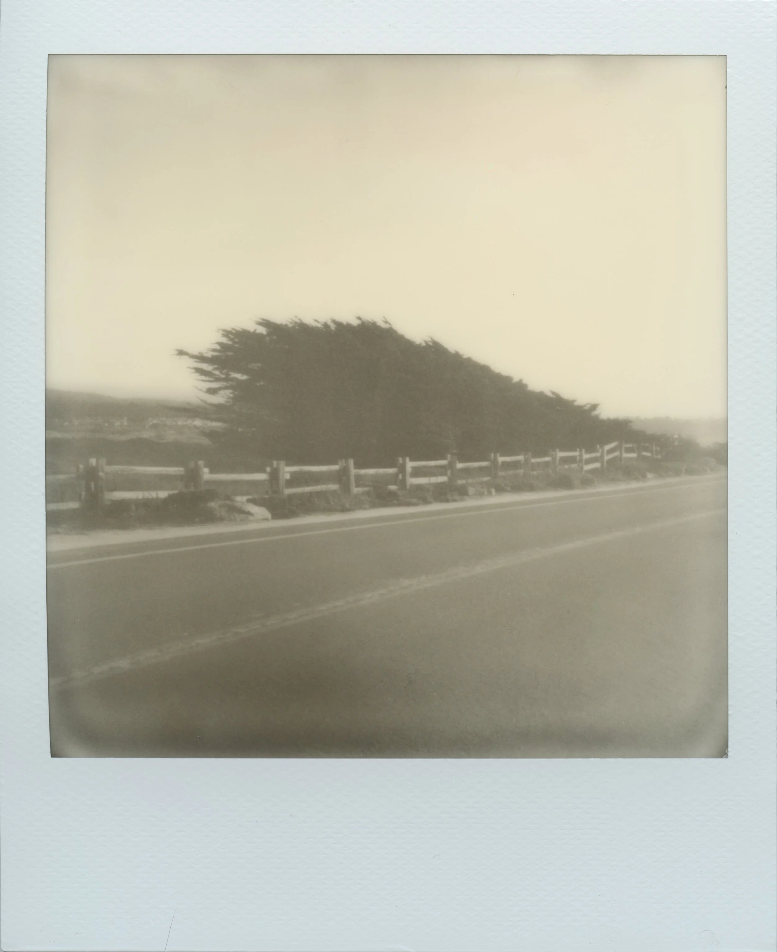 Pacific+Grove_resized_J.jpg