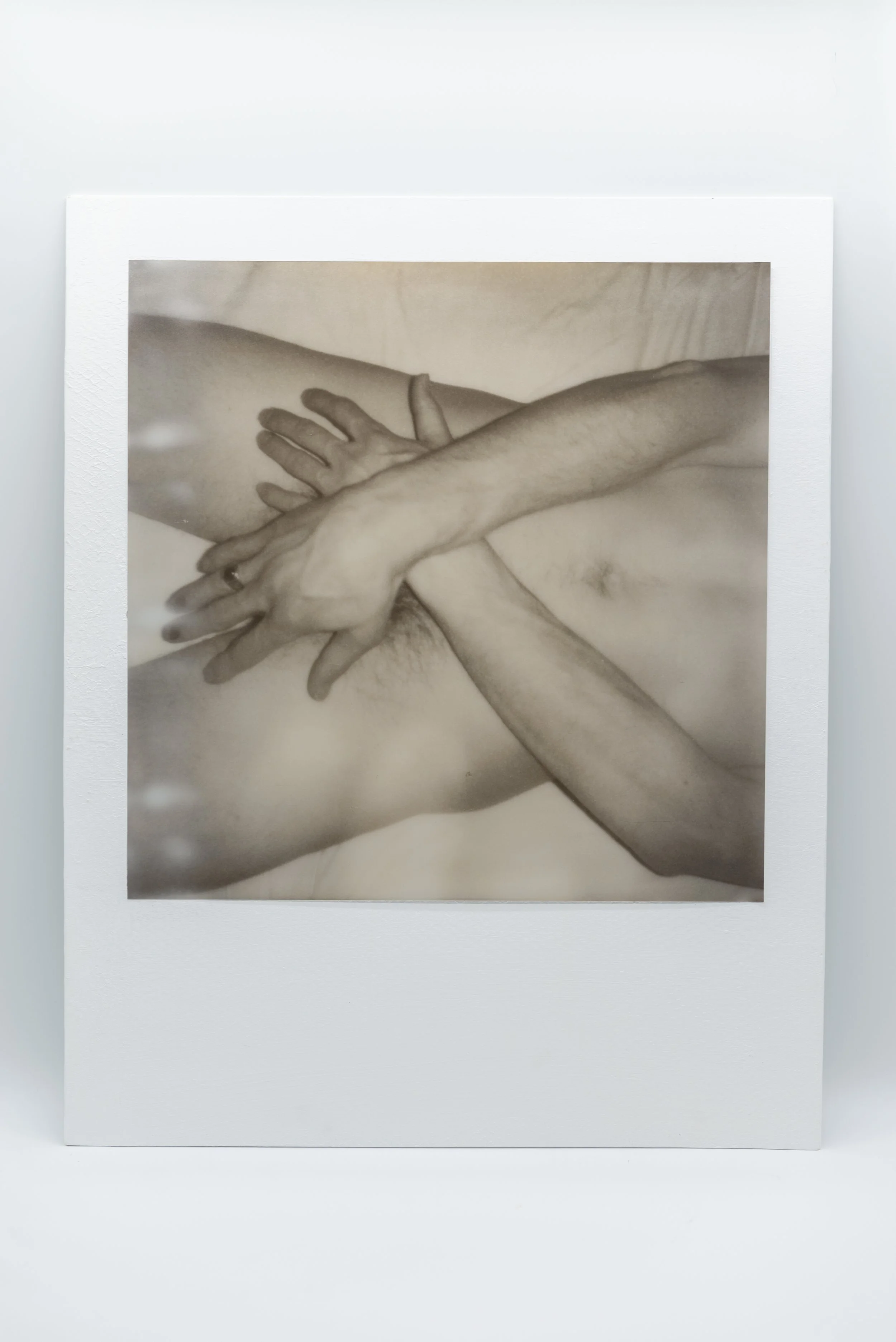 polaroid