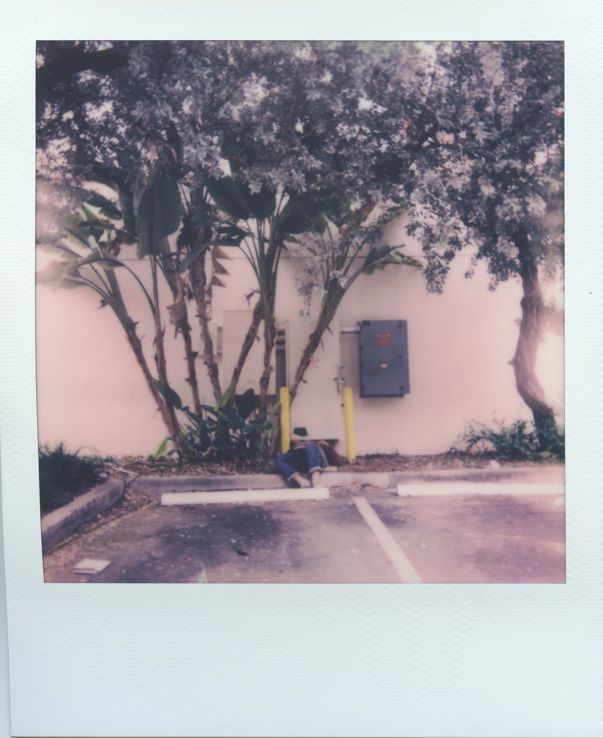 Walgreens Parking Lot, Miami resized_J.jpg