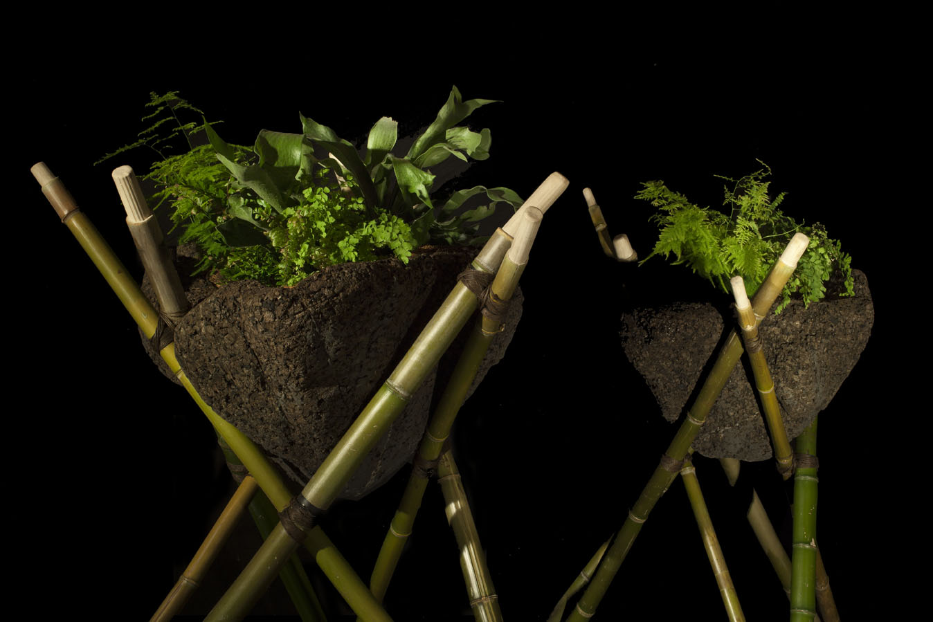 Renewable Natural Building Materials