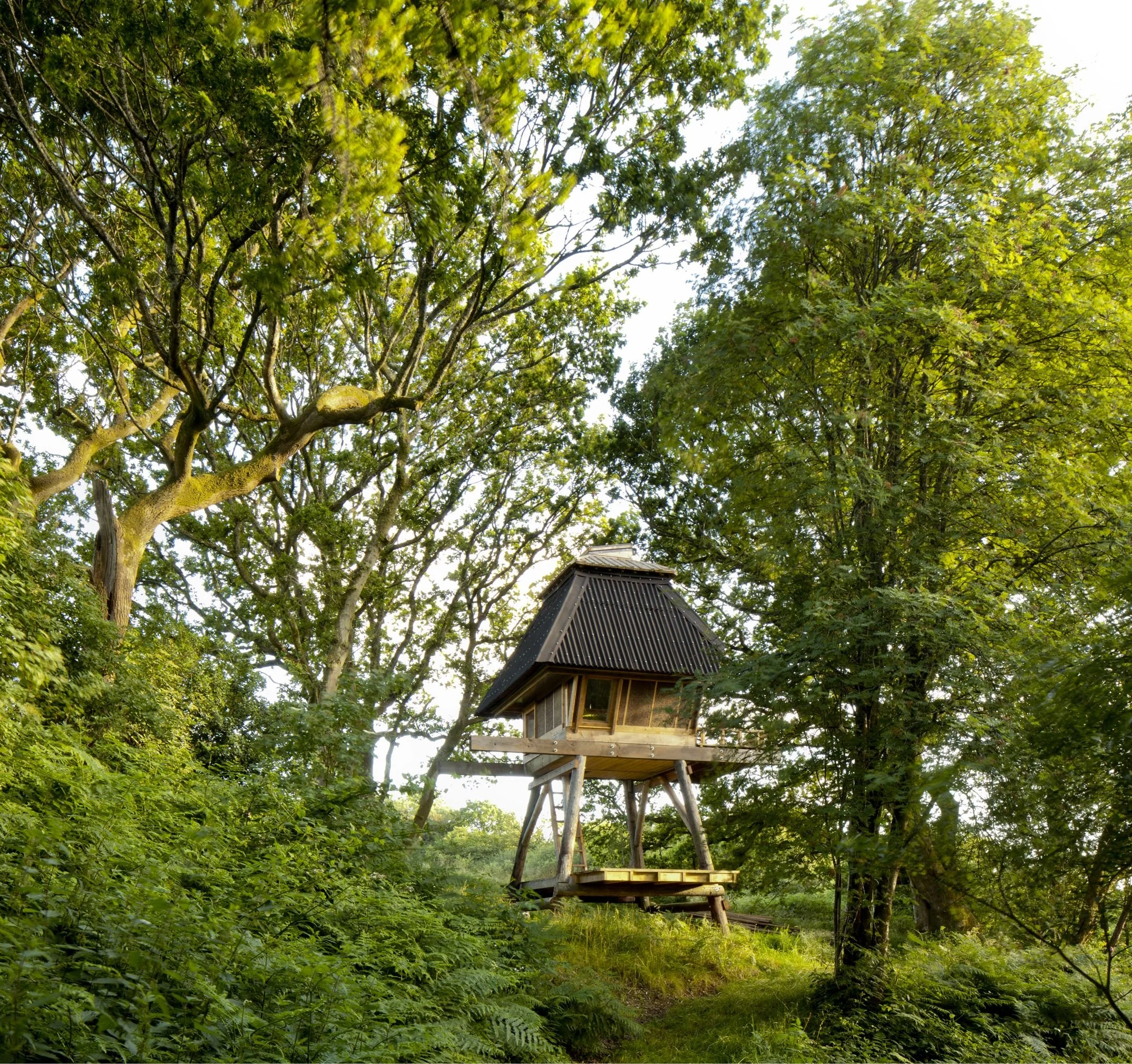 treehouse_08.jpg