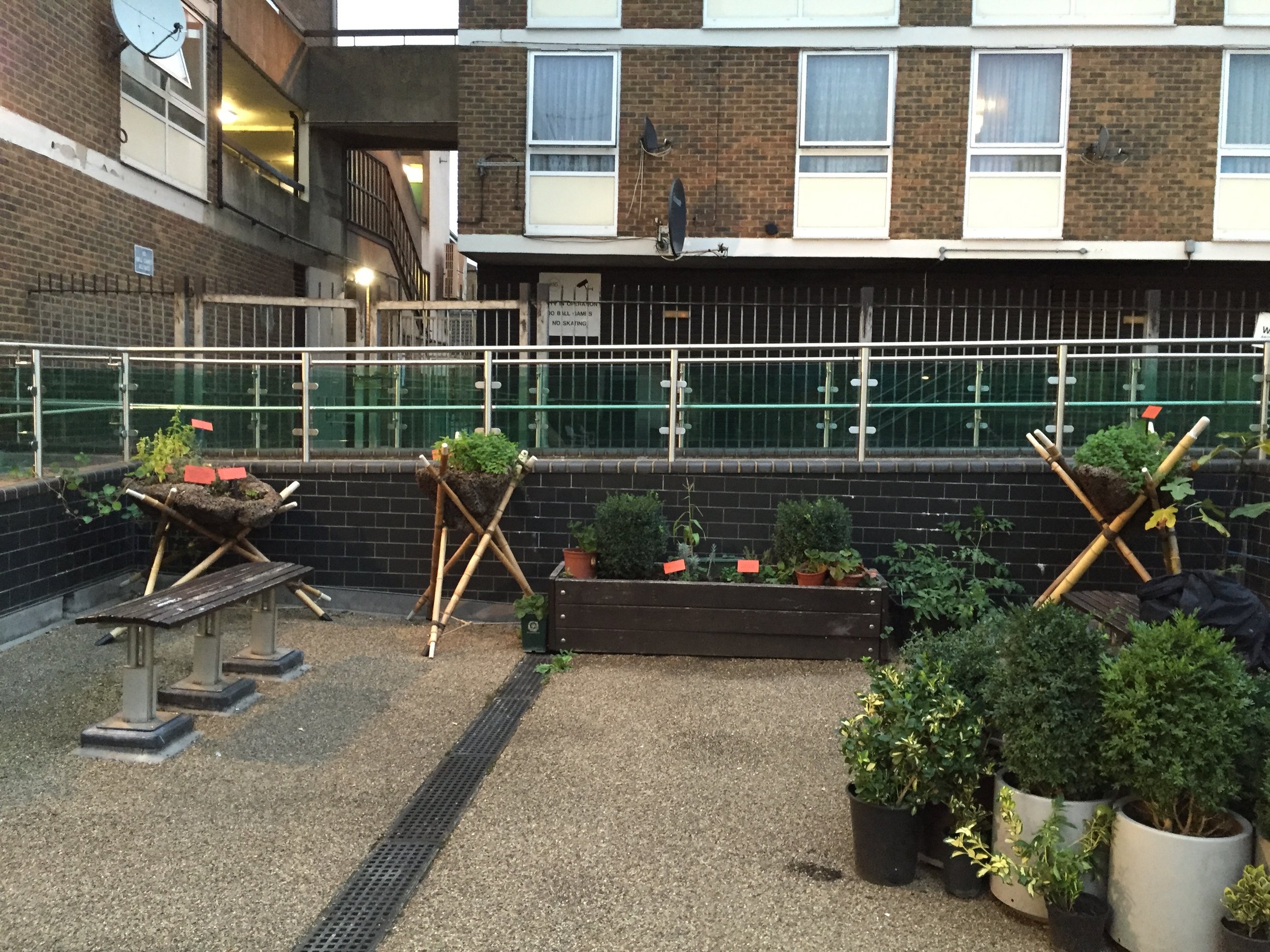 The planters took residency at the courtyard of the Church Street Library, welcoming the library visitors with various medicinal plants.