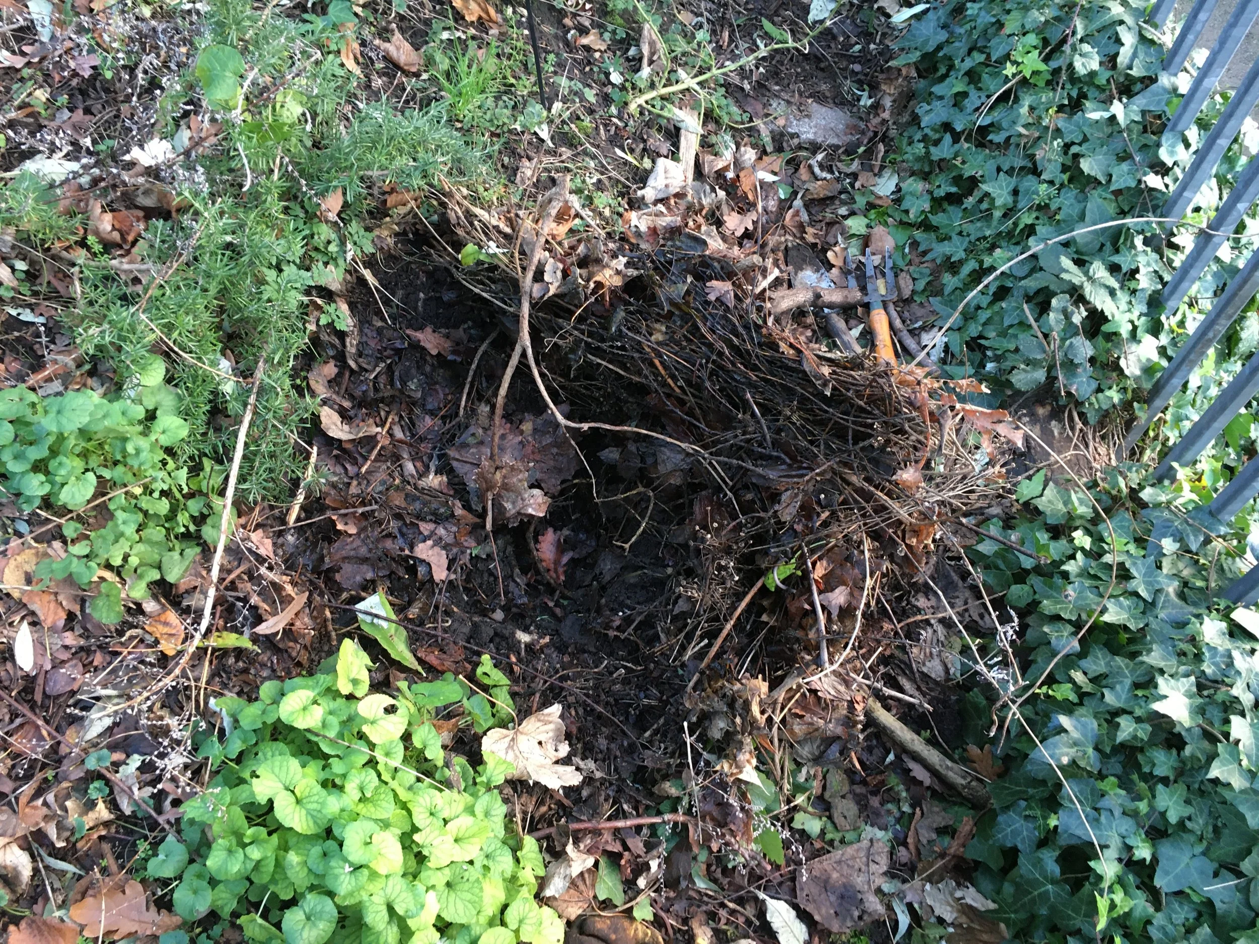 Image of dried plant stalks and twig blanket  